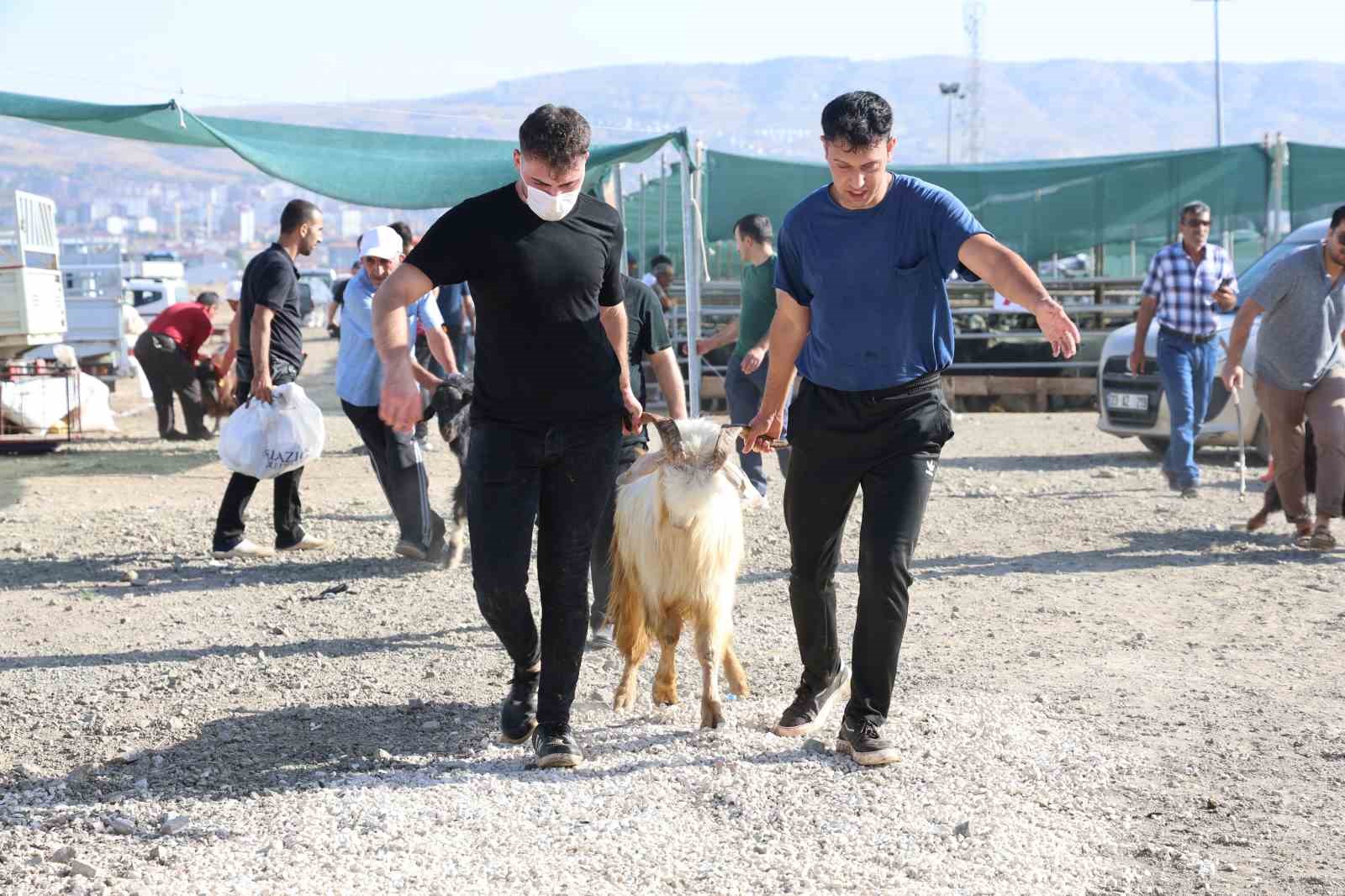 Elazığ’da vatandaşlar kurbanlarını kesti, yoğunluk havadan görüntülendi
