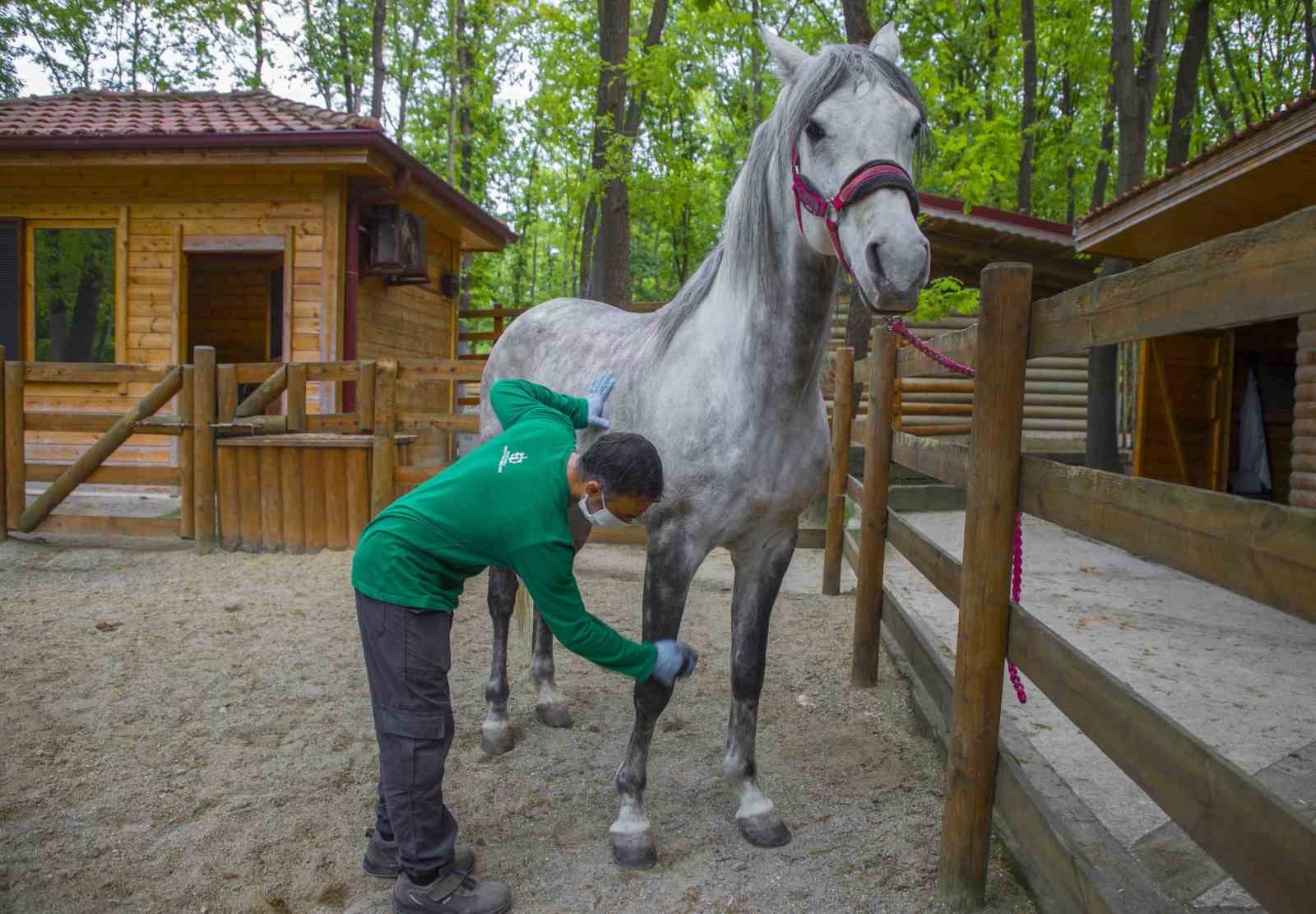 Ormanya bayramda ziyaretçilerini bekliyor
