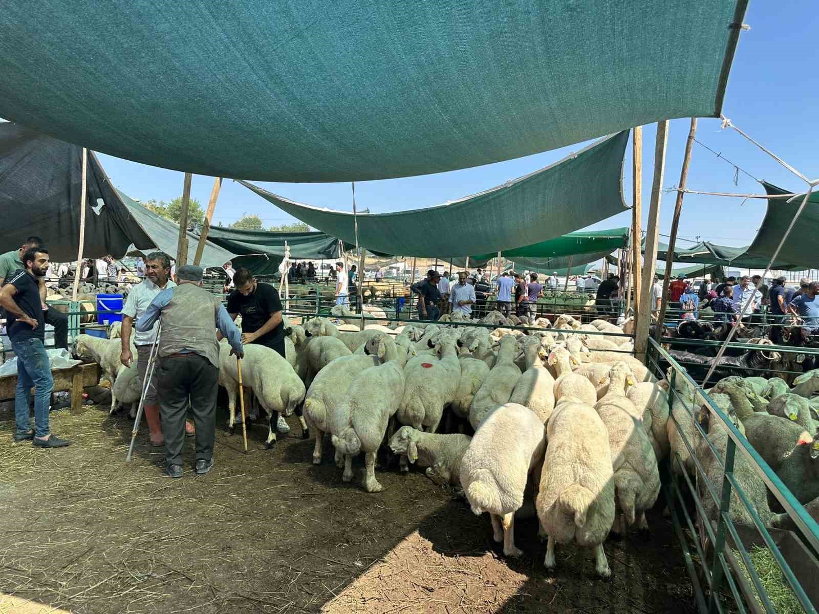 Bayramın ilk gününde kurban pazarında hareketlilik
