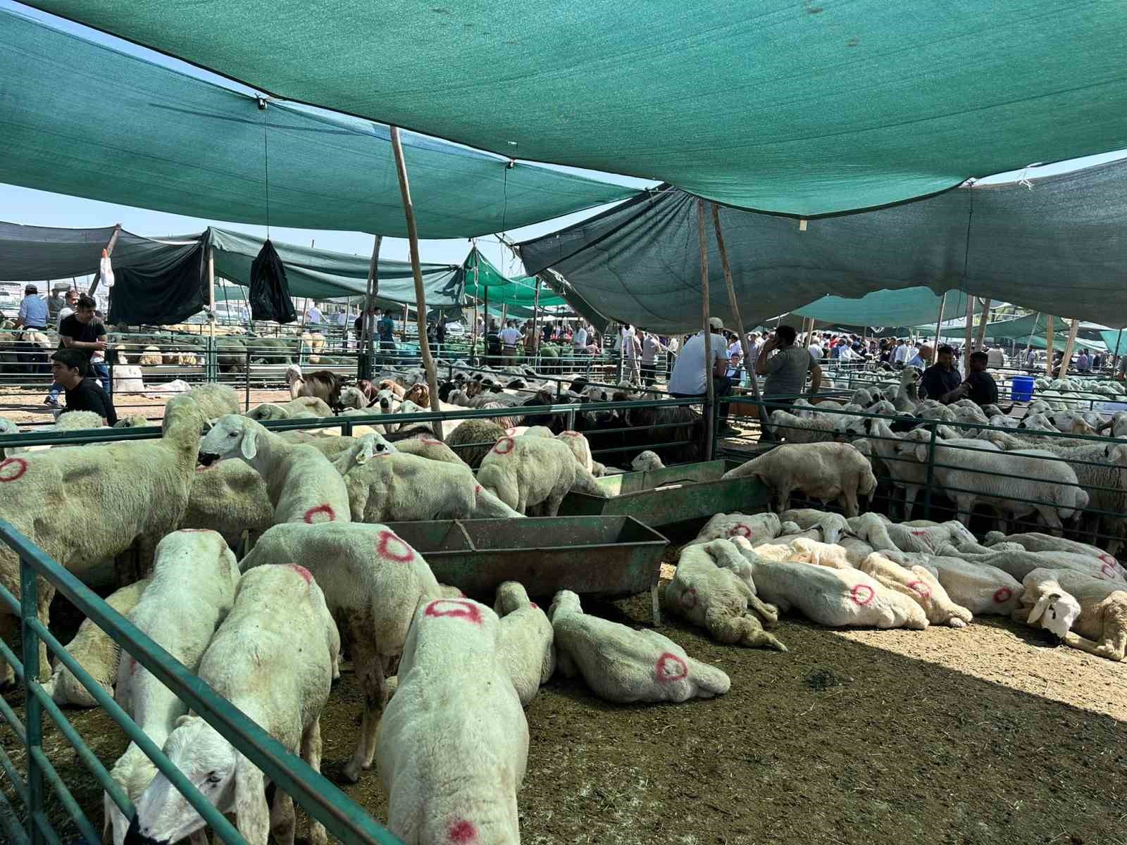 Bayramın ilk gününde kurban pazarında hareketlilik
