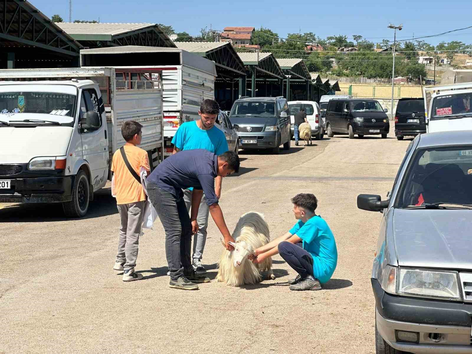 Bayramın ilk gününde kurban pazarında hareketlilik
