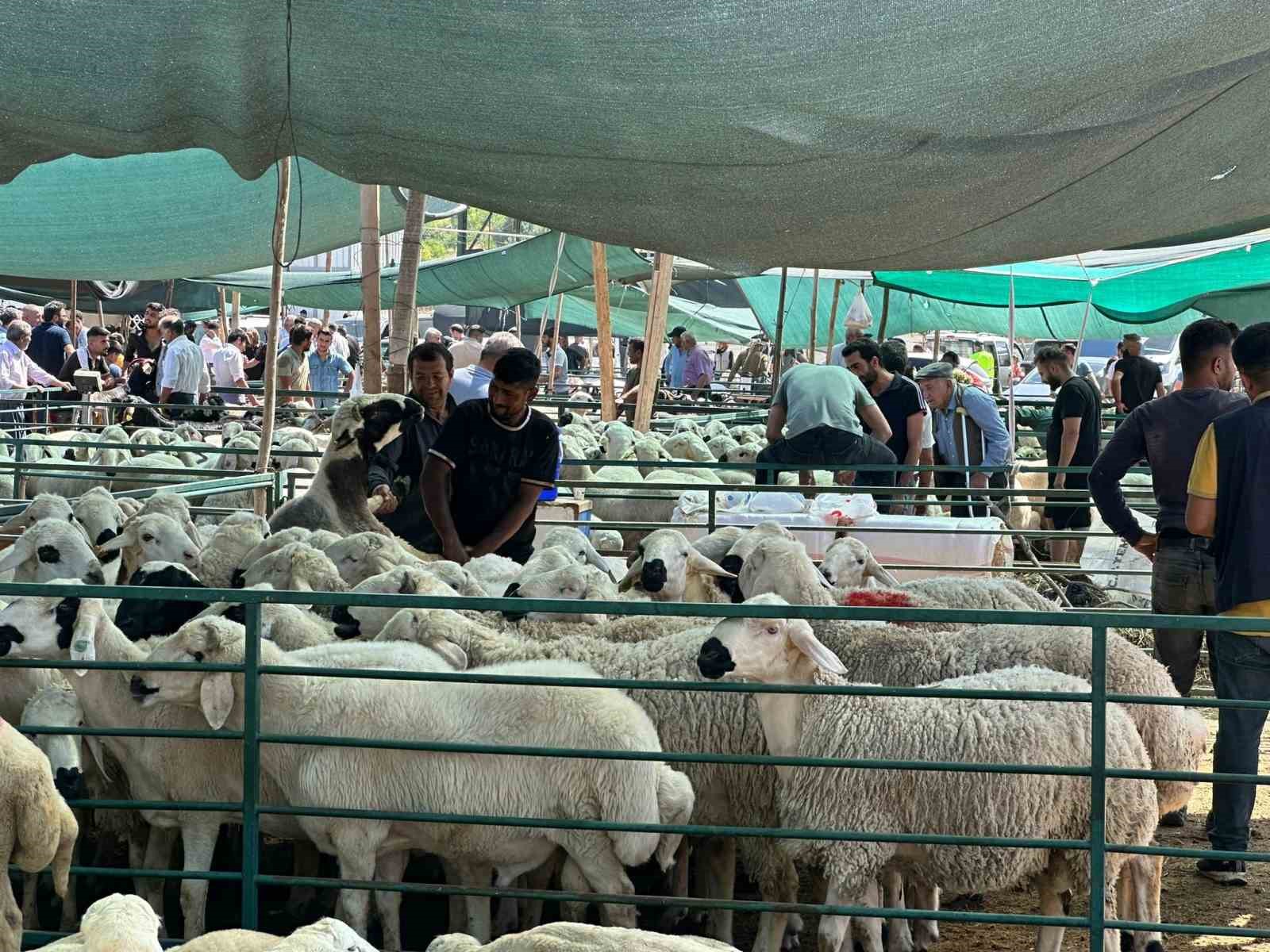 Bayramın ilk gününde kurban pazarında hareketlilik
