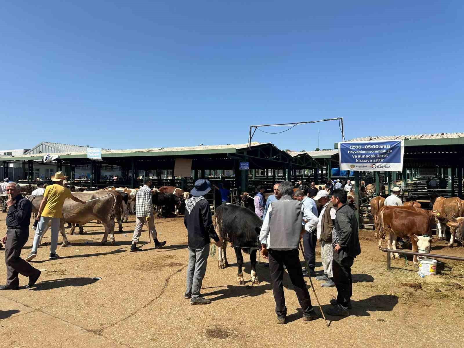 Bayramın ilk gününde kurban pazarında hareketlilik
