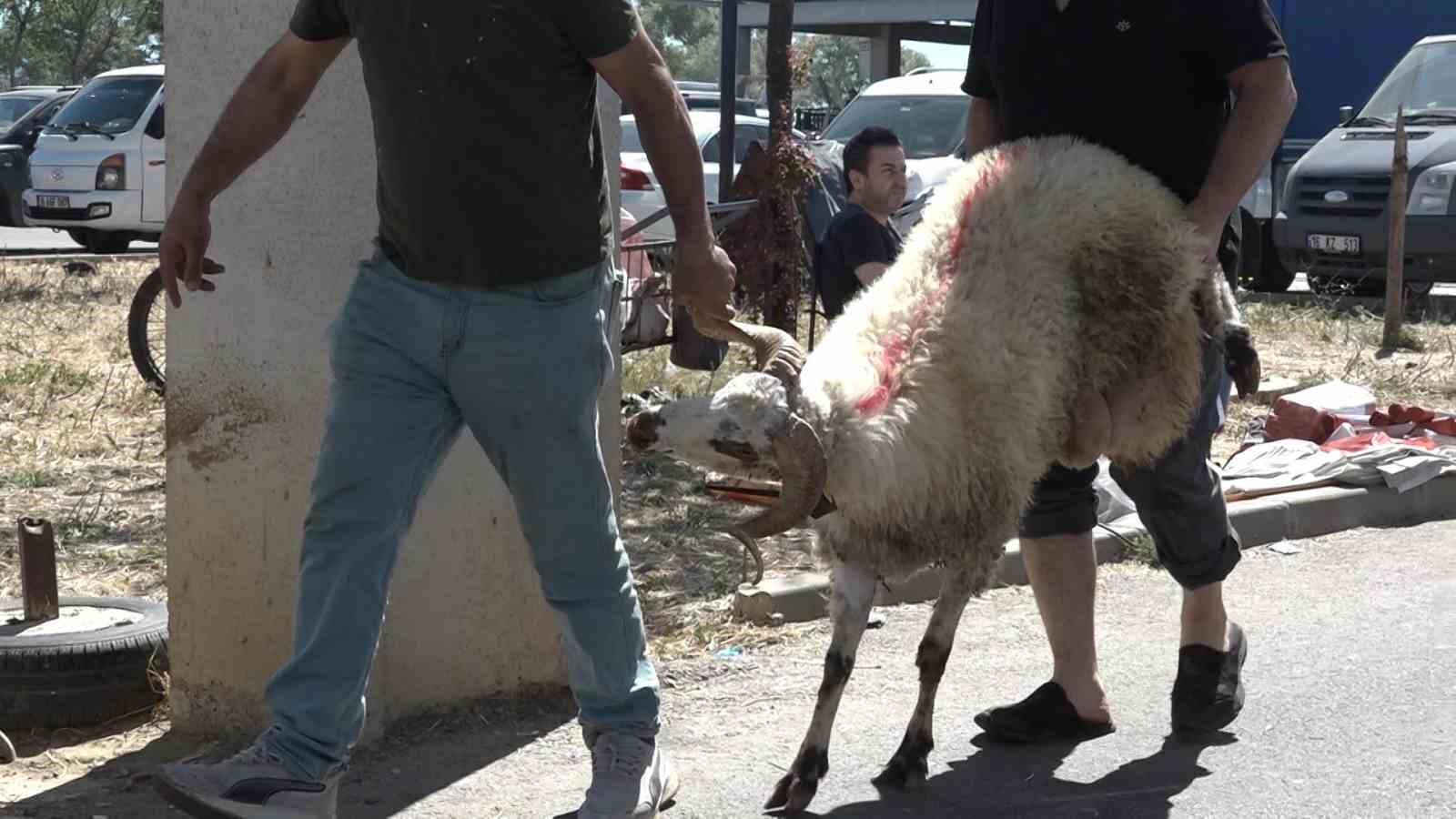 Oto pazarı değil, kurban pazarı
