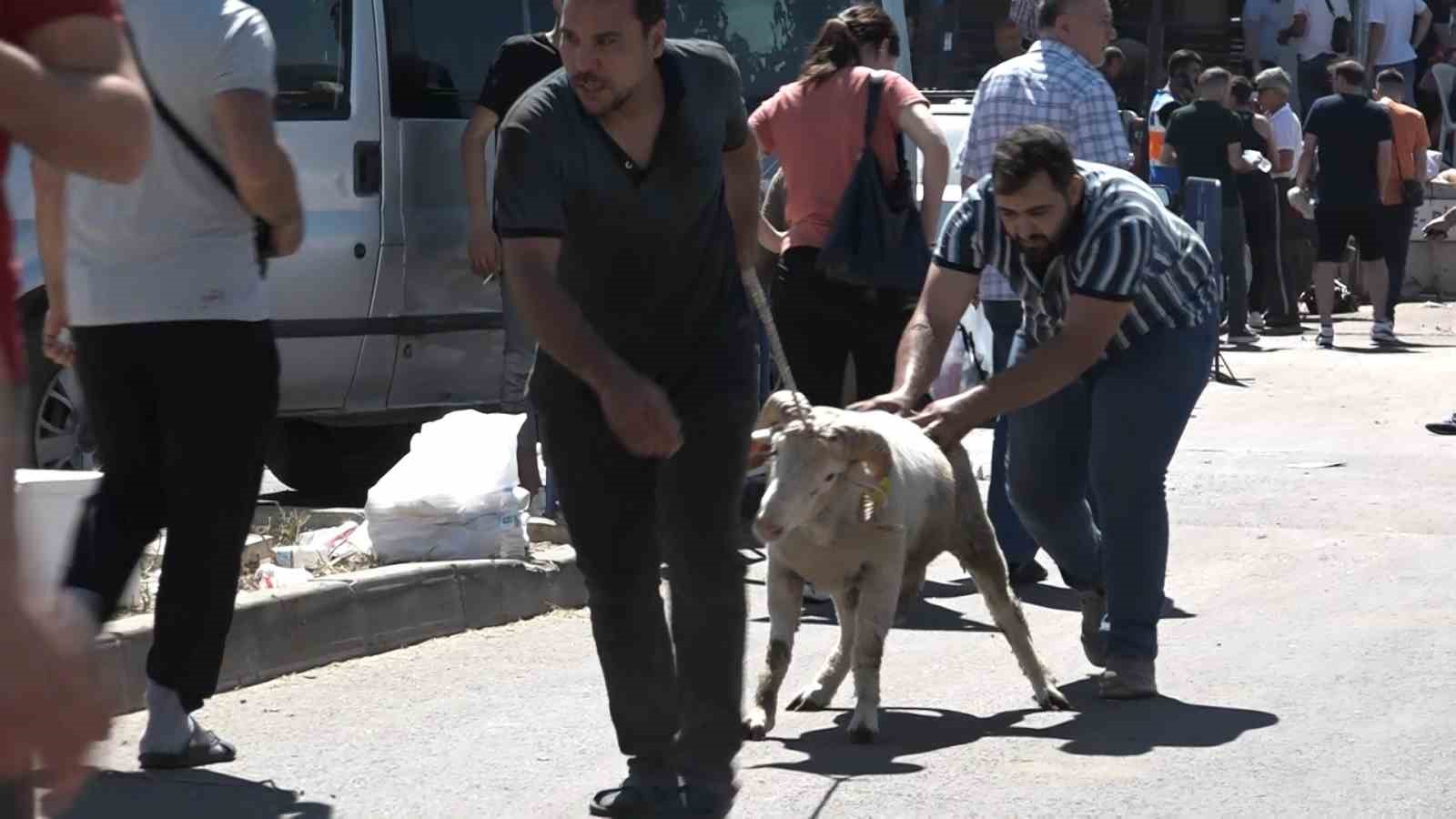 Oto pazarı değil, kurban pazarı
