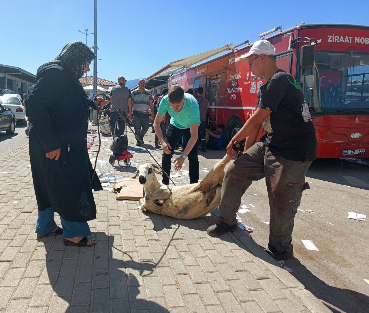 Oto pazarı değil, kurban pazarı
