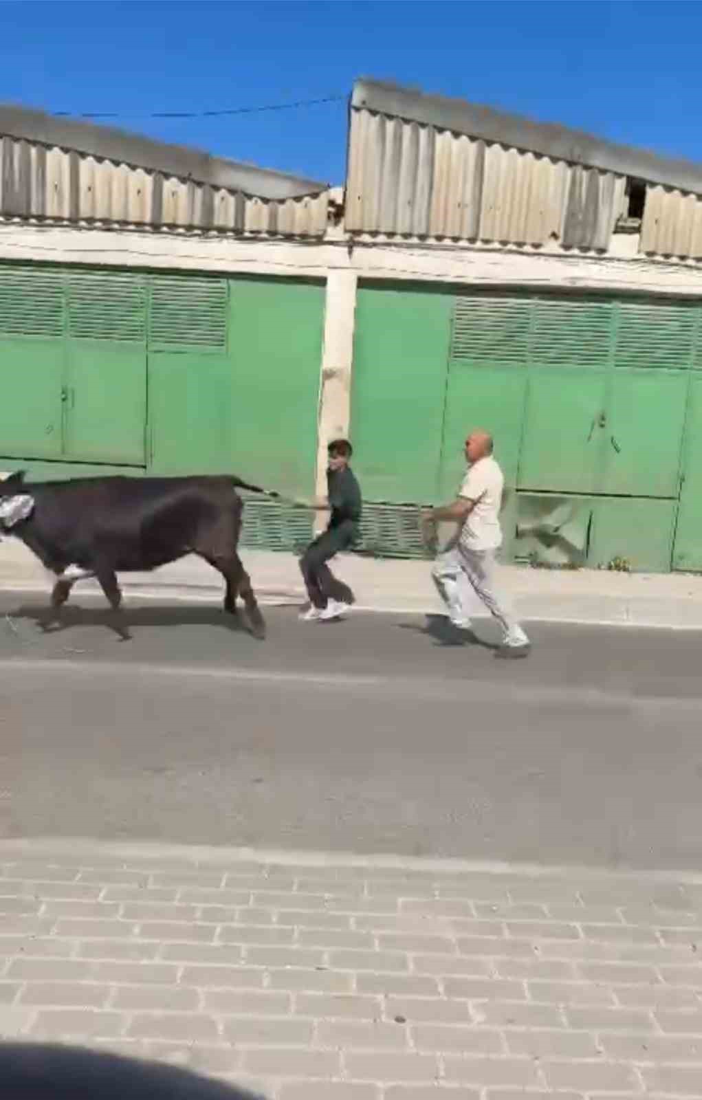 Bursa’da kaçan kurbanlıklar ortalığı birbirine kattı
