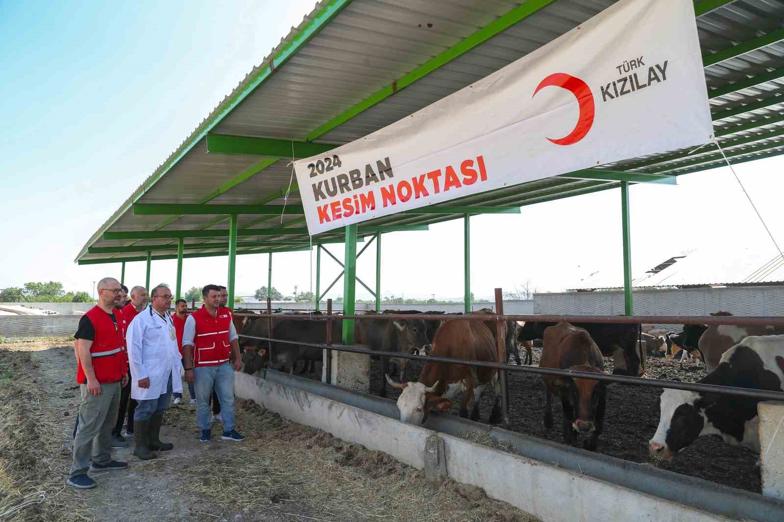 Türk Kızılay’ı yurtta ve 19 ülkede kurban kesimlerine başladı
