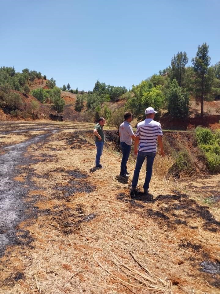 Çal’daki yangının ardından zarar tespit çalışmalarına başlandı
