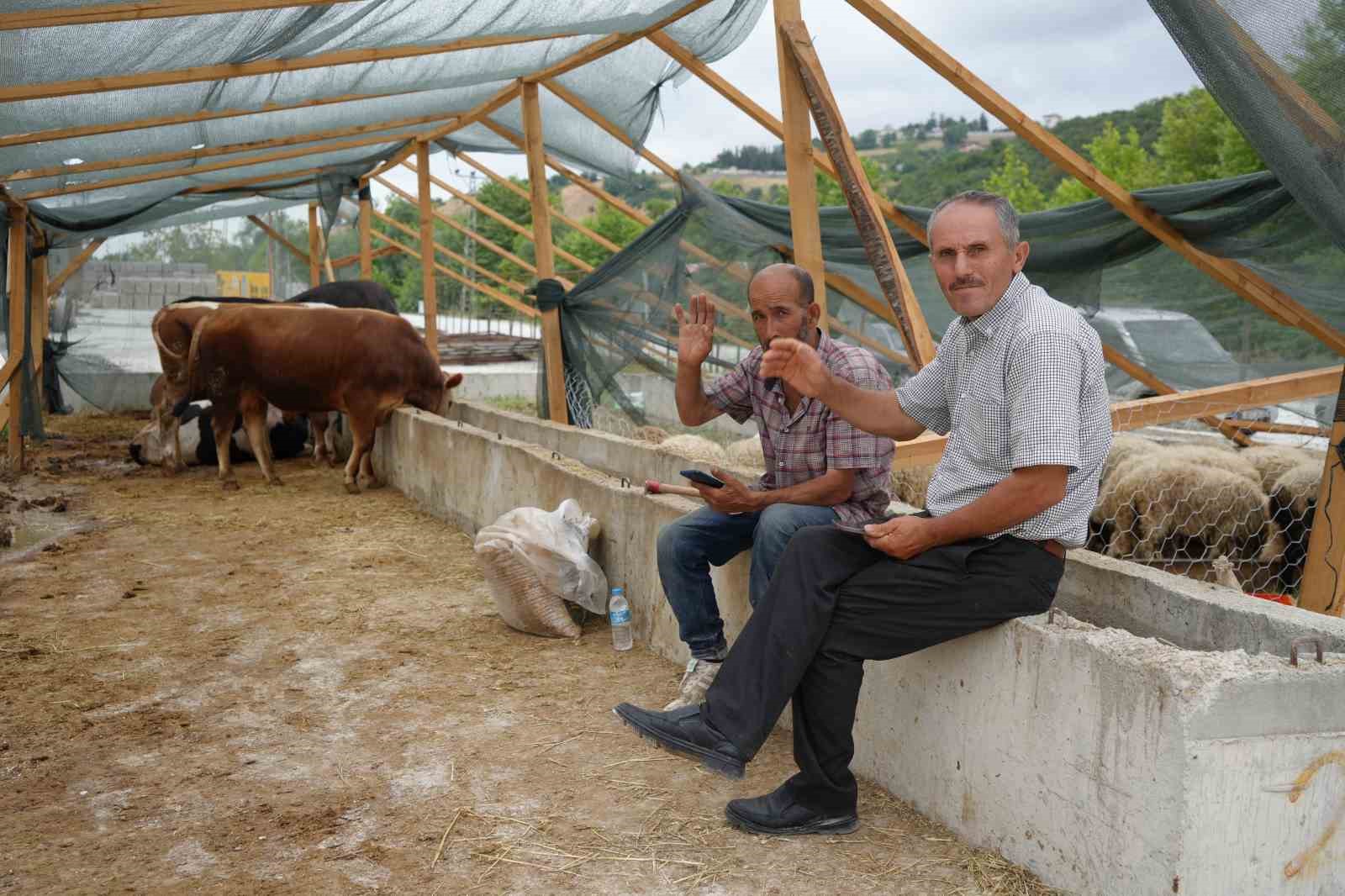 Besiciler bayramda da kurbanlık mesaisinde
