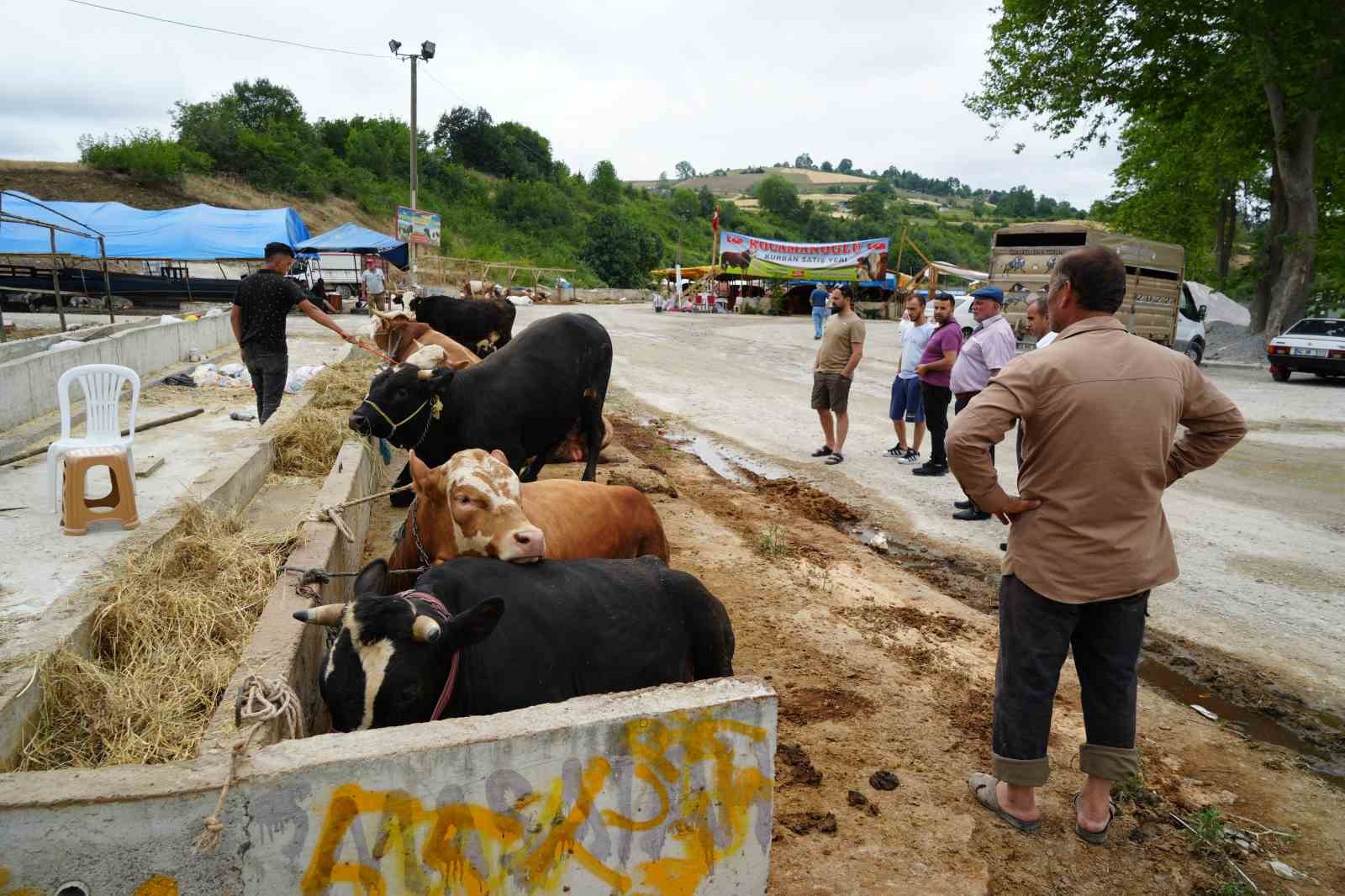 Besiciler bayramda da kurbanlık mesaisinde
