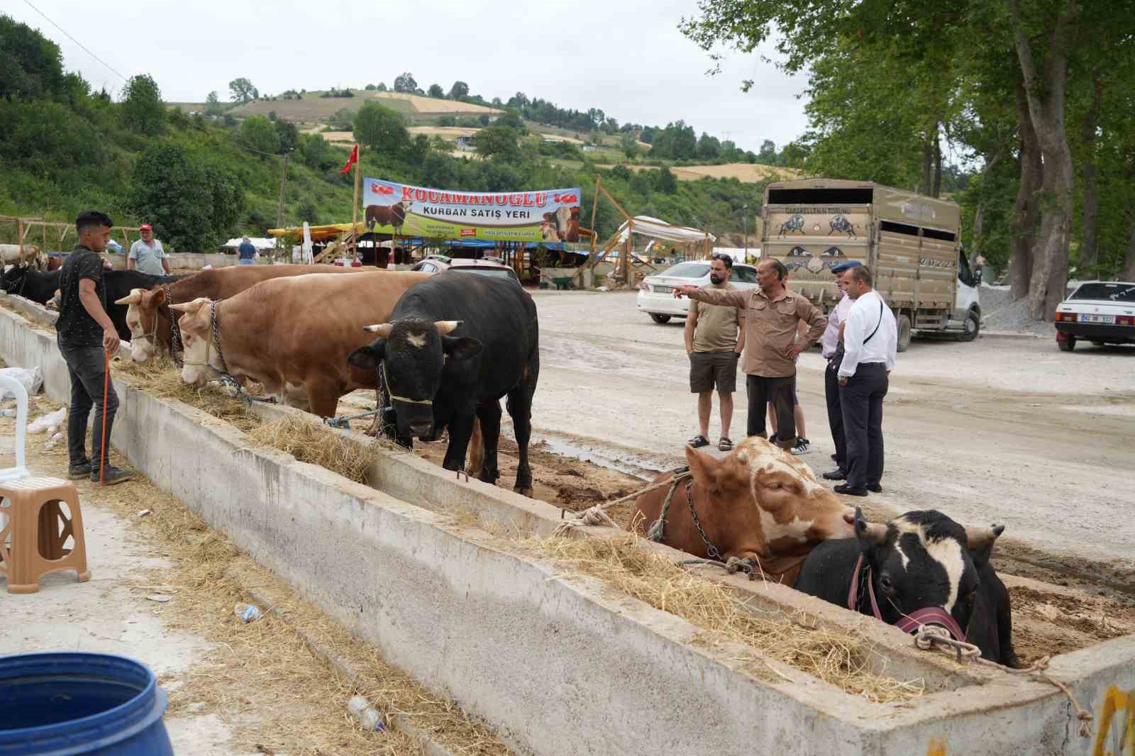 Besiciler bayramda da kurbanlık mesaisinde
