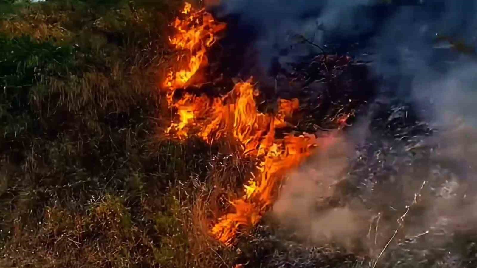 Söke’de makilik yangını
