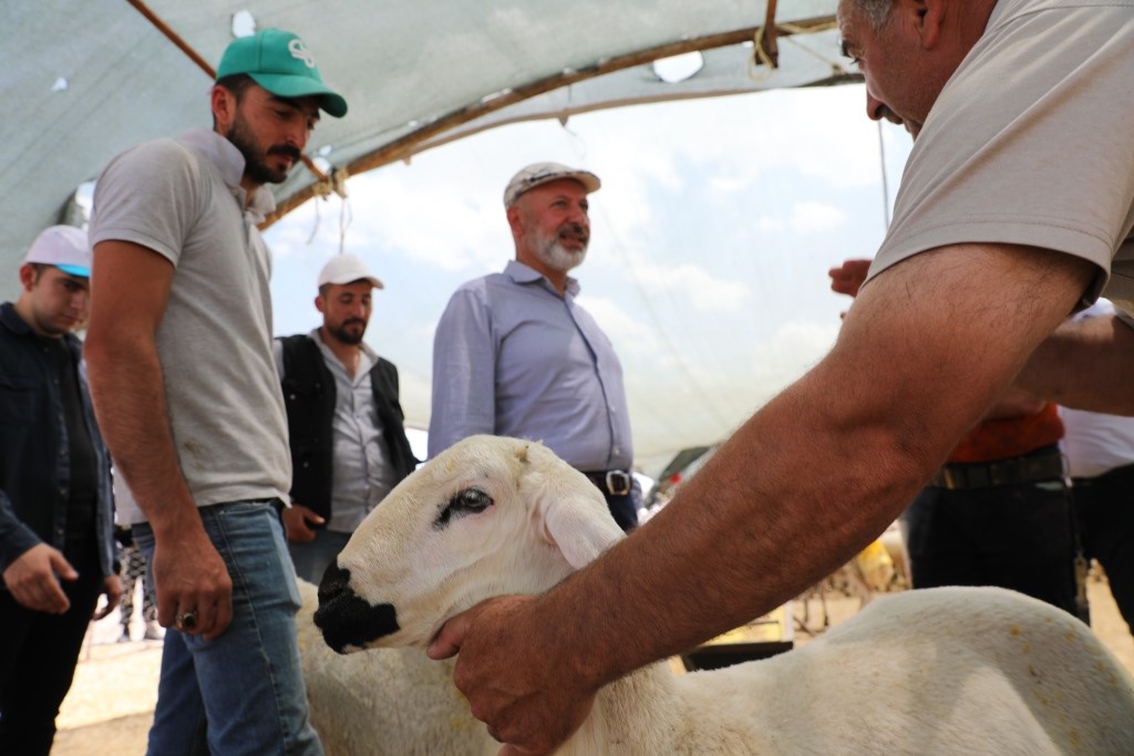 Kocasinan’da kurban bayramı konforu
