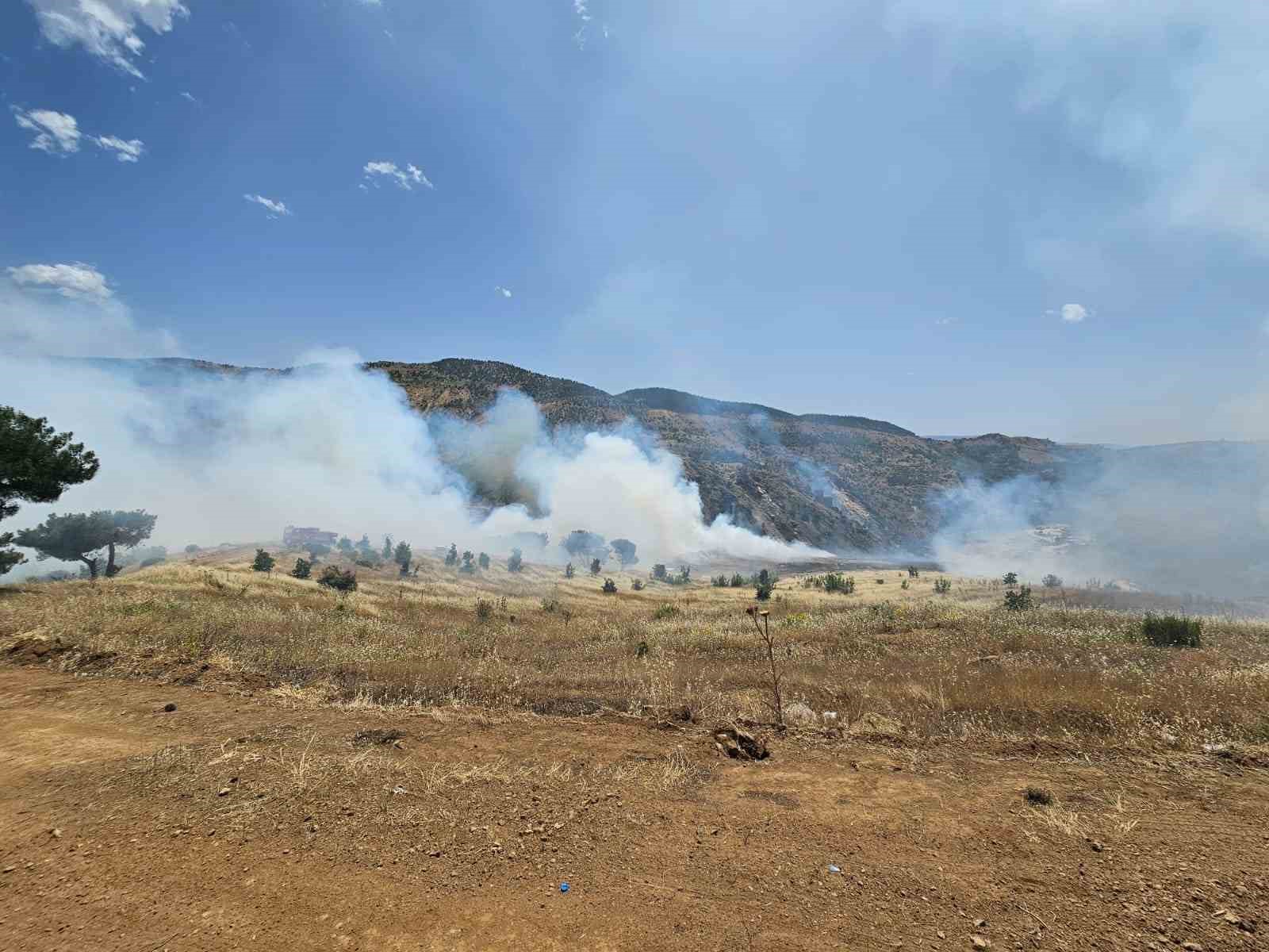 Ormanlık alanda çıkan örtü yangını söndürüldü
