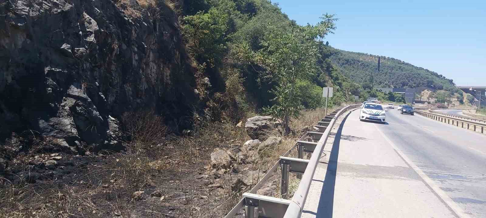 Akli dengesi olmayan vatandaş, ormanı küle çevirecekti
