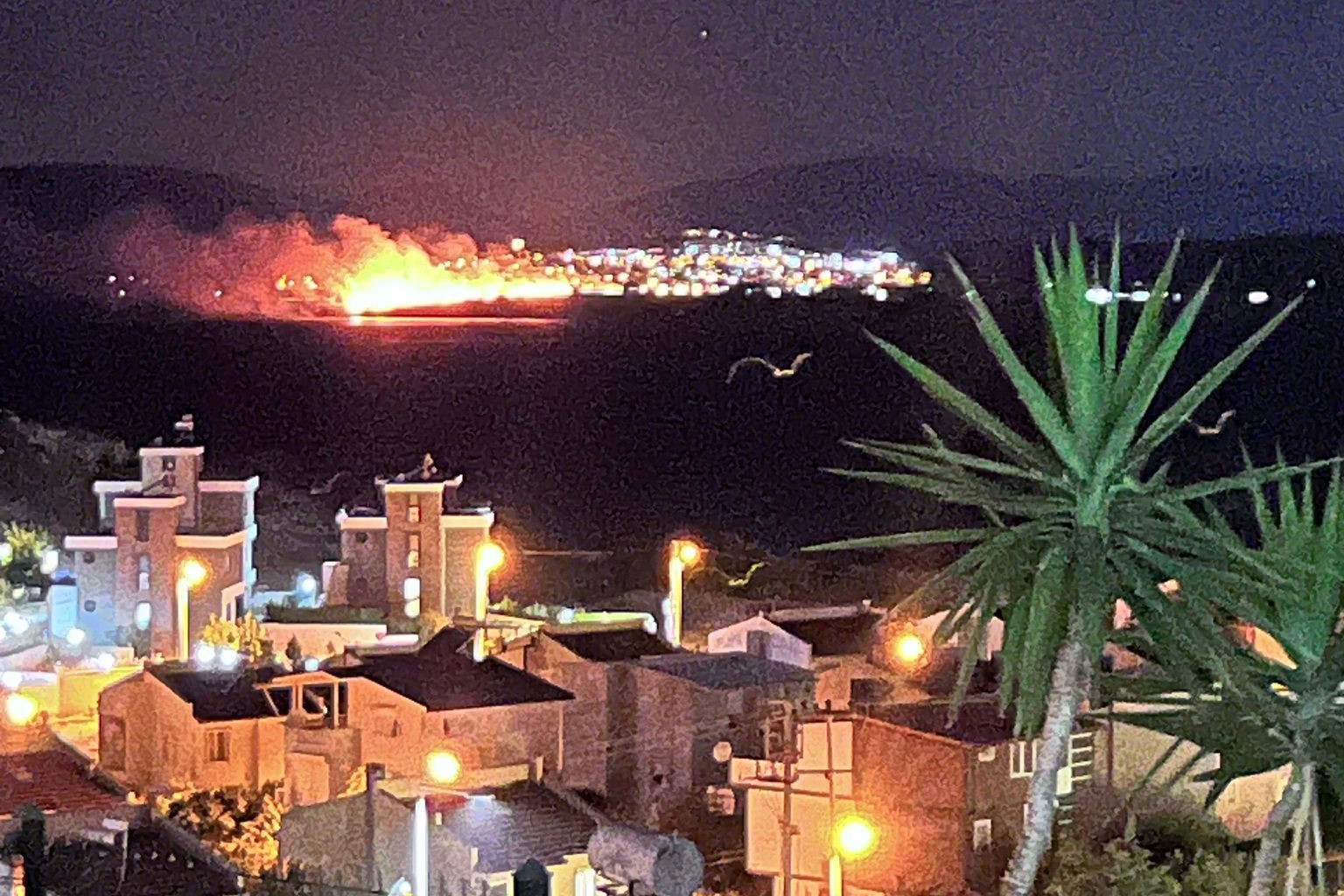 Gece boyunca yanan Çiçek Adası küle döndü
