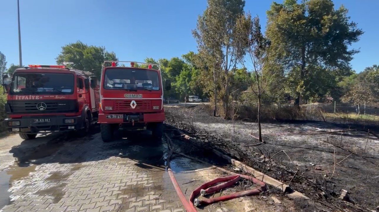 Mudanya’da ve Gemlik’te korkutan yangınlar
