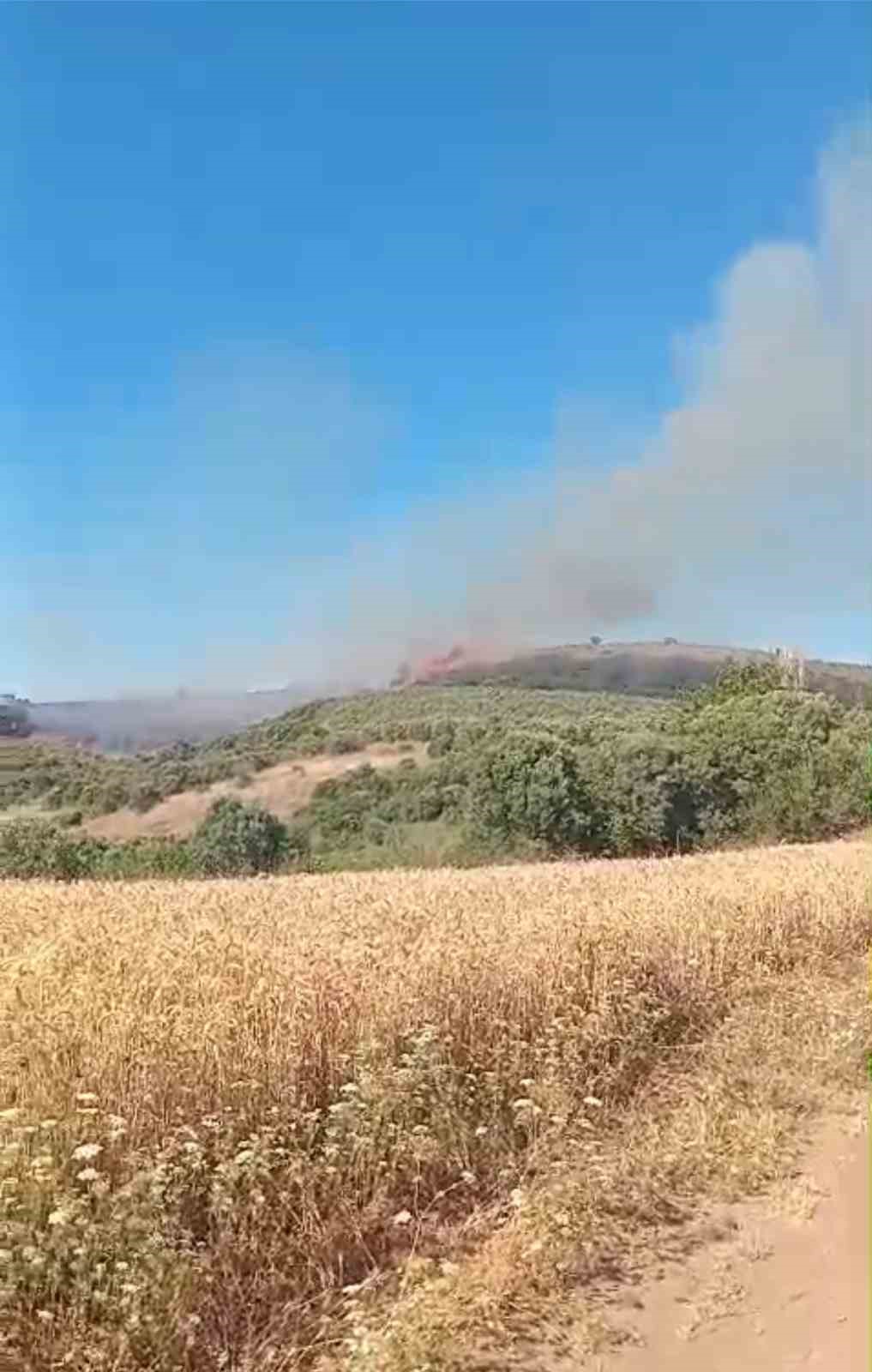 Mudanya’da ve Gemlik’te korkutan yangınlar
