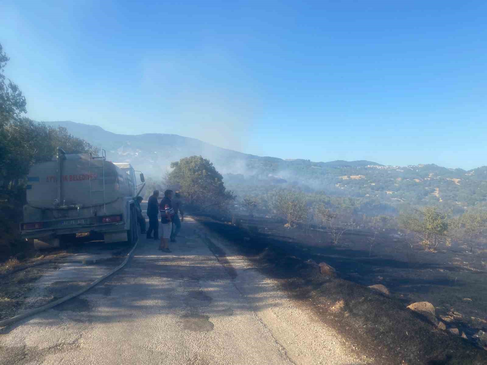 Ayvacık’ta orman yangını
