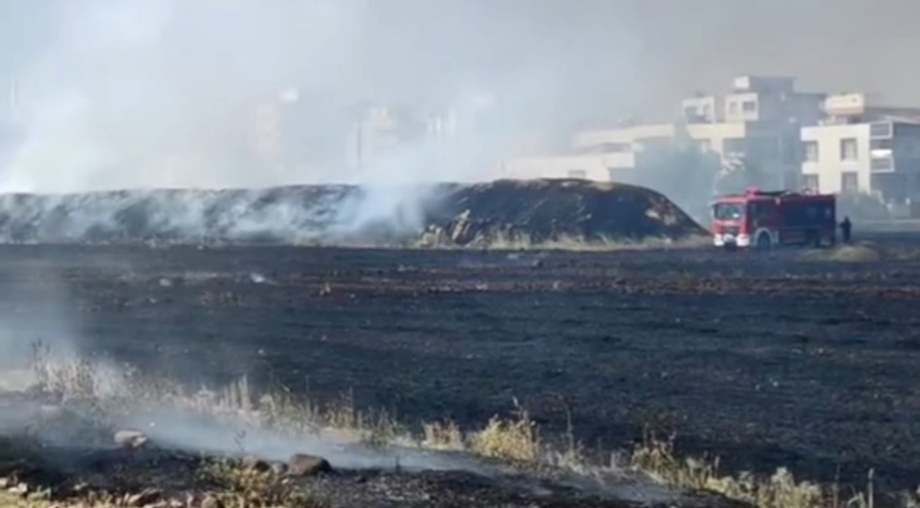 Siverek’te çıkan yangında 100 dönüm arazi ve 200 ton saman kül oldu
