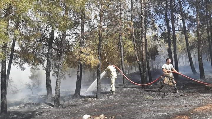 Denizli’de orman yangını kısa sürede kontrol altına alındı
