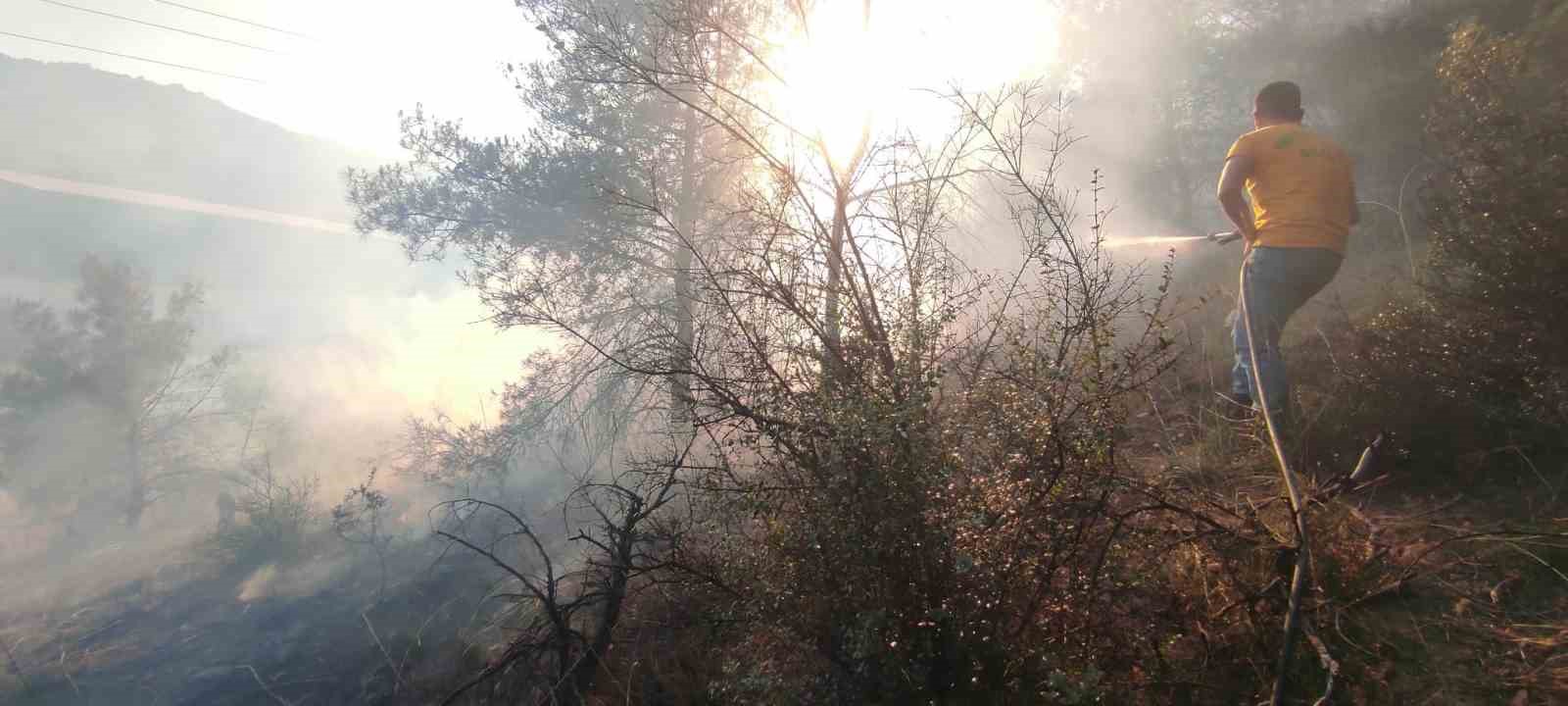 Bilecik’te ormanlık alanda çıkan yangın ekiplerin müdahalesiyle büyümeden söndürüldü
