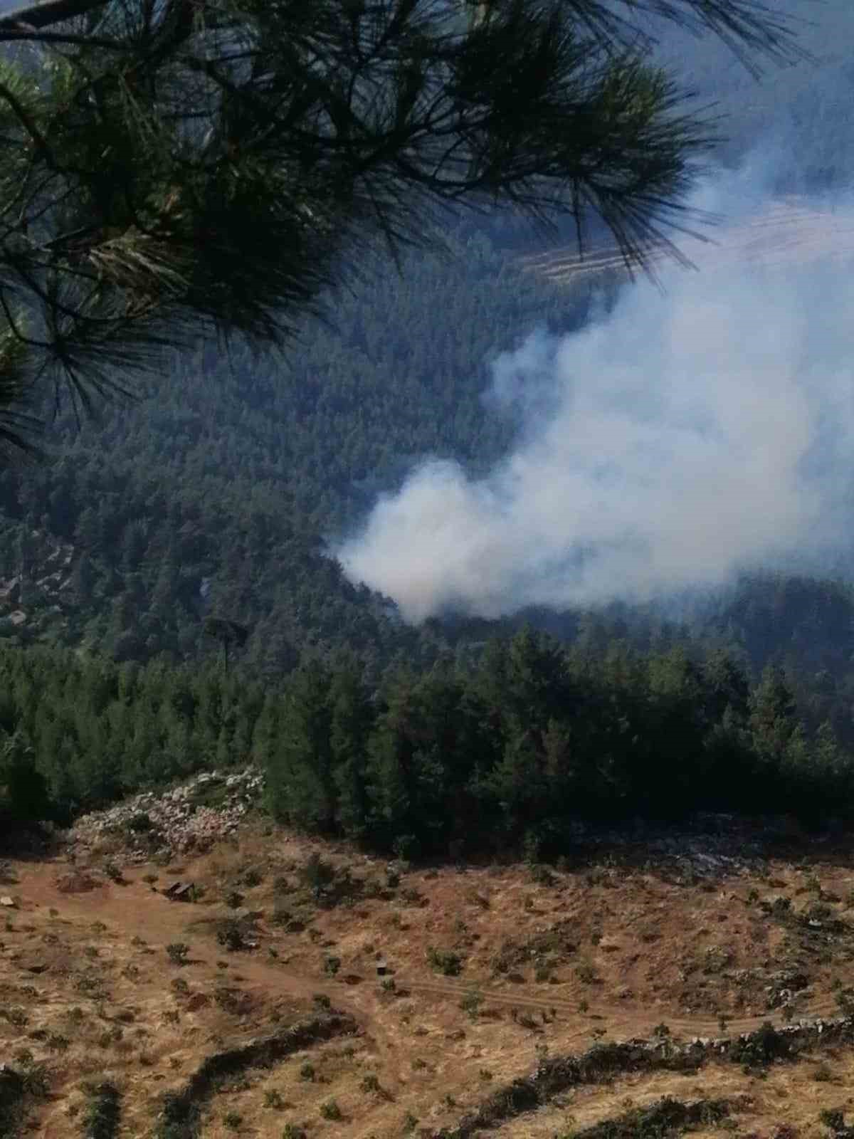 Burdur’da çıkan orman yangınında 10 dekar alan yandı
