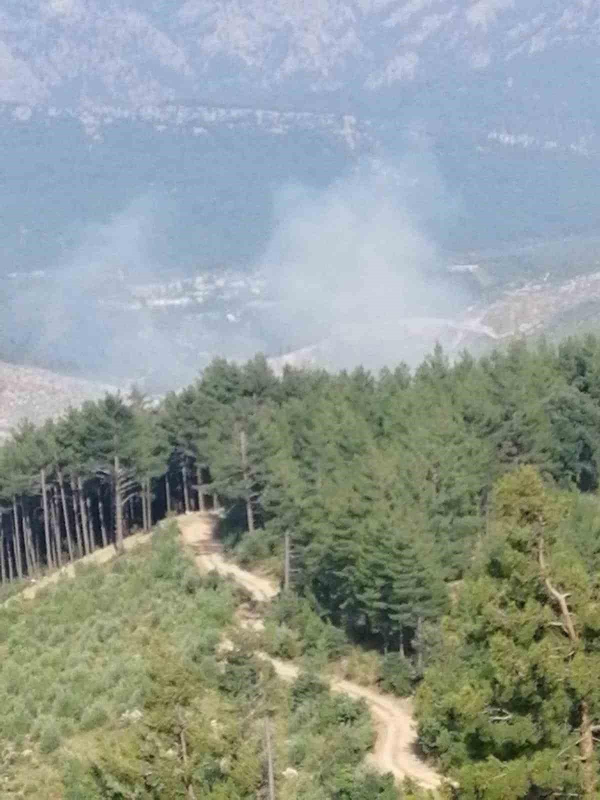 Burdur’da çıkan orman yangınında 10 dekar alan yandı
