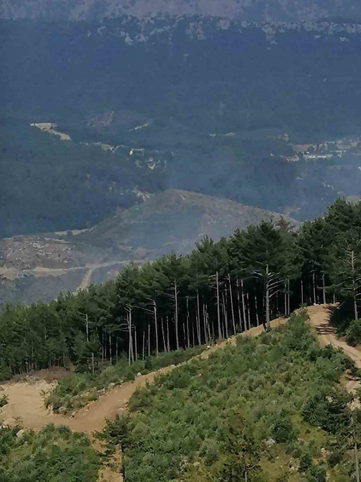 Burdur’da çıkan orman yangınında 10 dekar alan yandı
