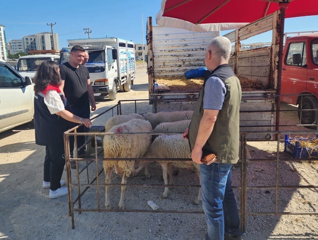 Kurban Kesim ve Kurbanlık Hayvan Satış Yerleri Denetleniyor
