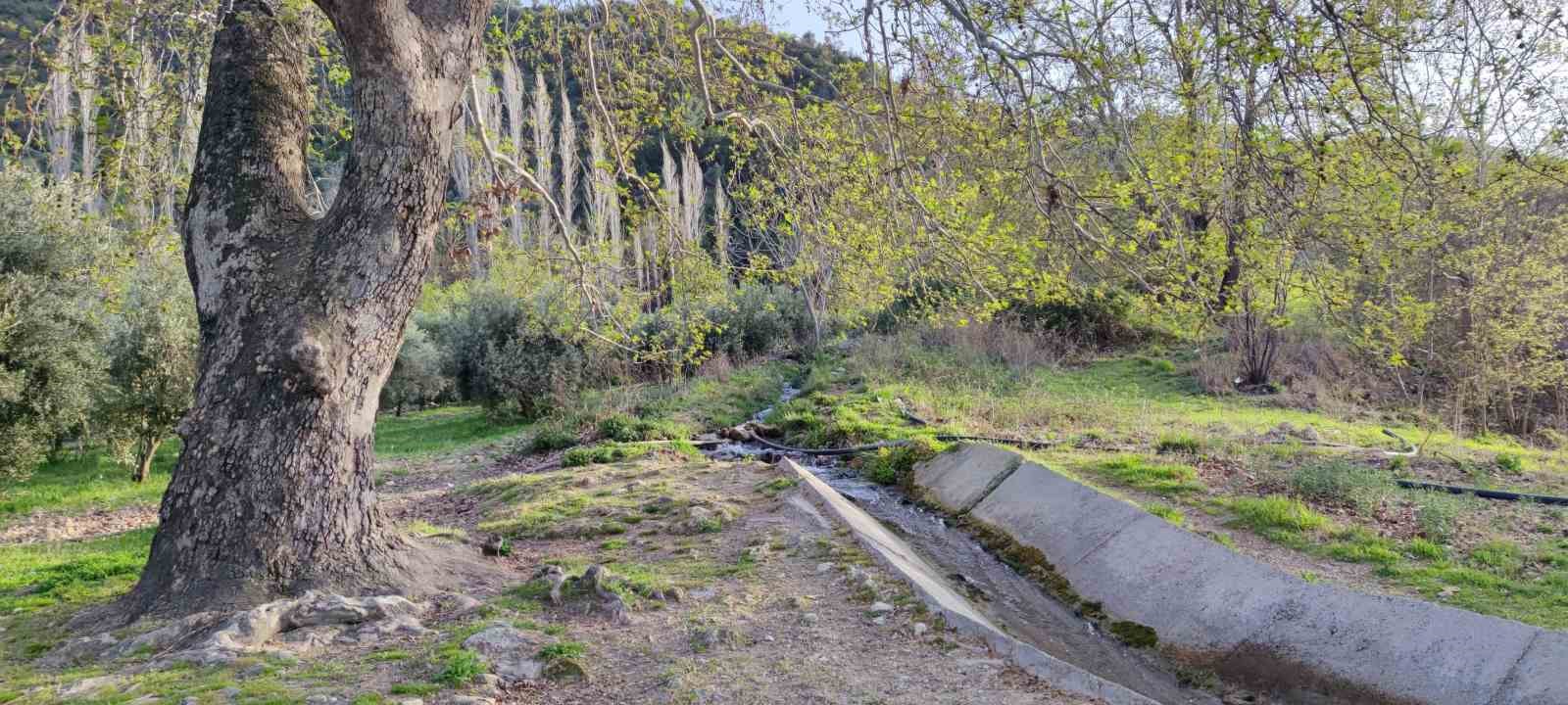 Türkiye’nin 23. doğa harikası Güney Şelalesi ziyaretçilerini bekliyor
