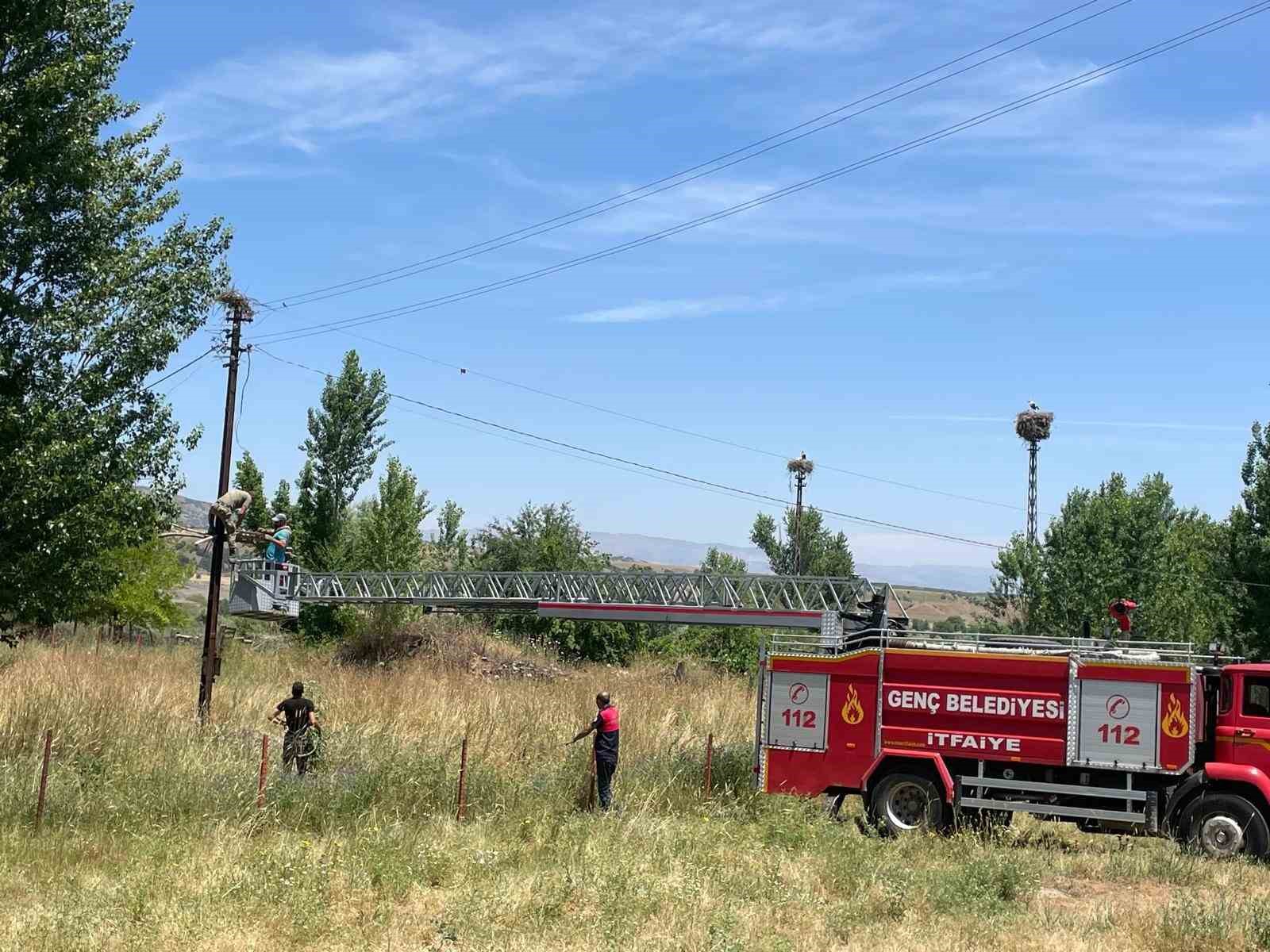 Yuvadan düşen yavru leyleklerin imdadına itfaiye ekipleri yetişti
