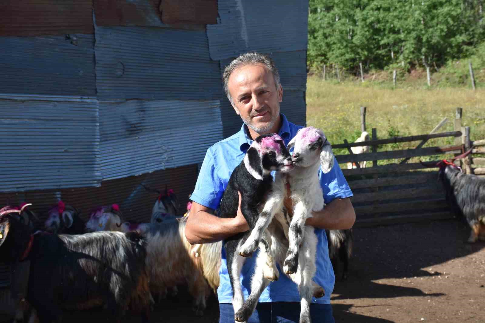 117 yıldır devam eden gelenek: Gelin gibi süslenen hayvanları ile göçe başladılar
