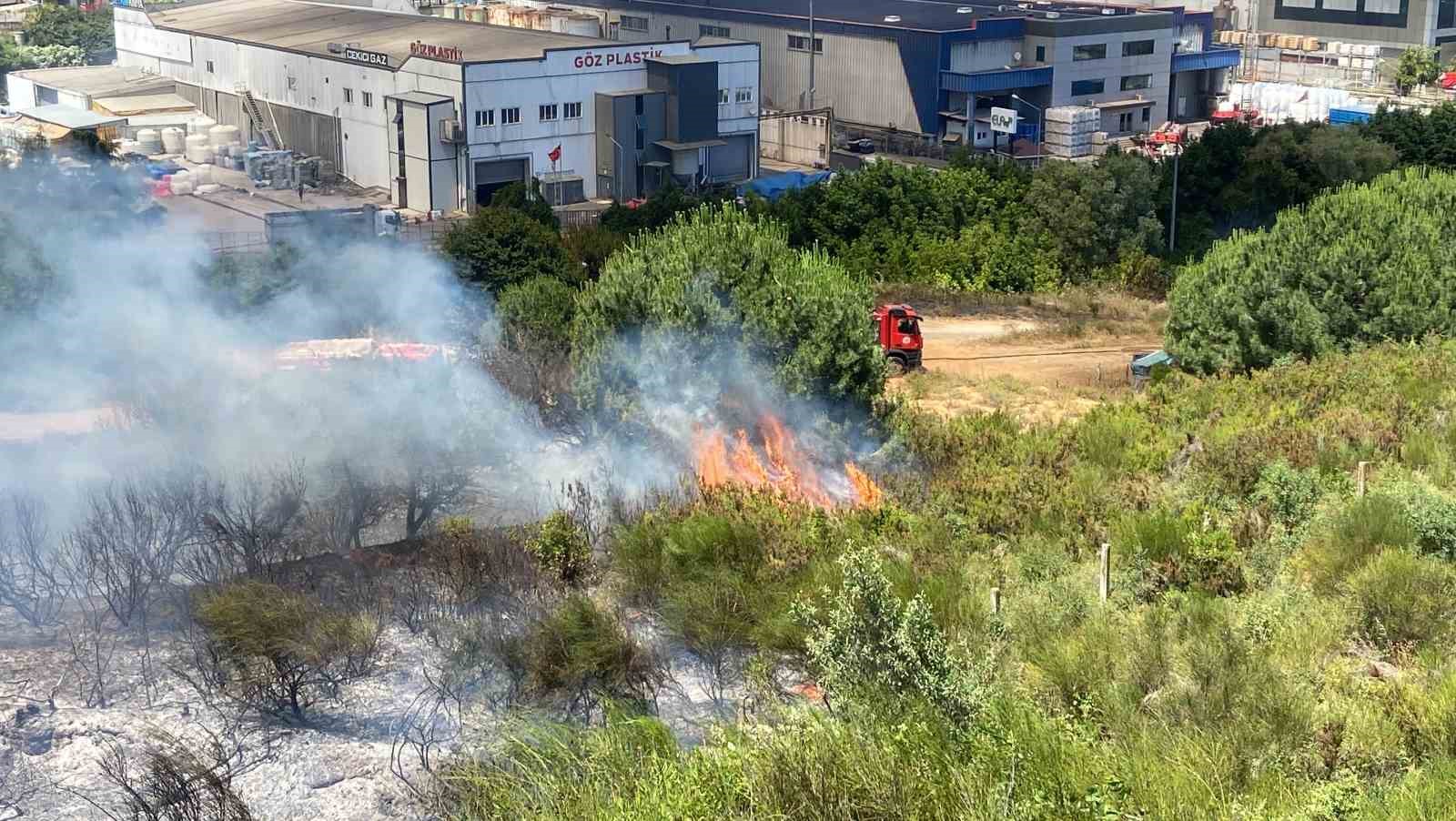 Kocaeli İstanbul sınırındaki yangın araçlara ve otluk alana sirayet etti
