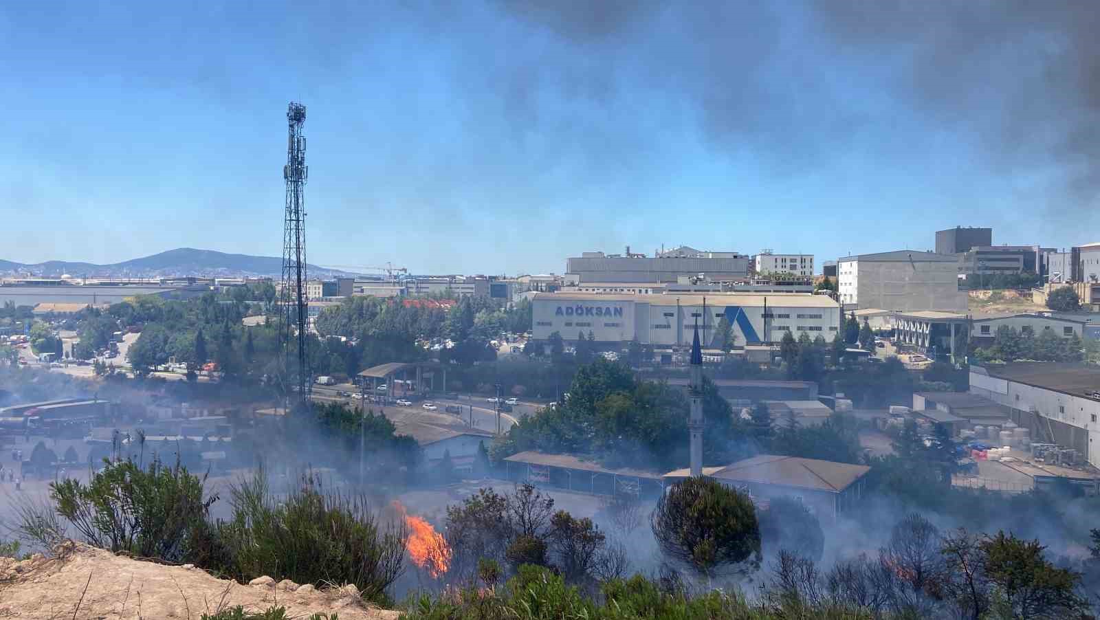 Kocaeli İstanbul sınırındaki yangın araçlara ve otluk alana sirayet etti
