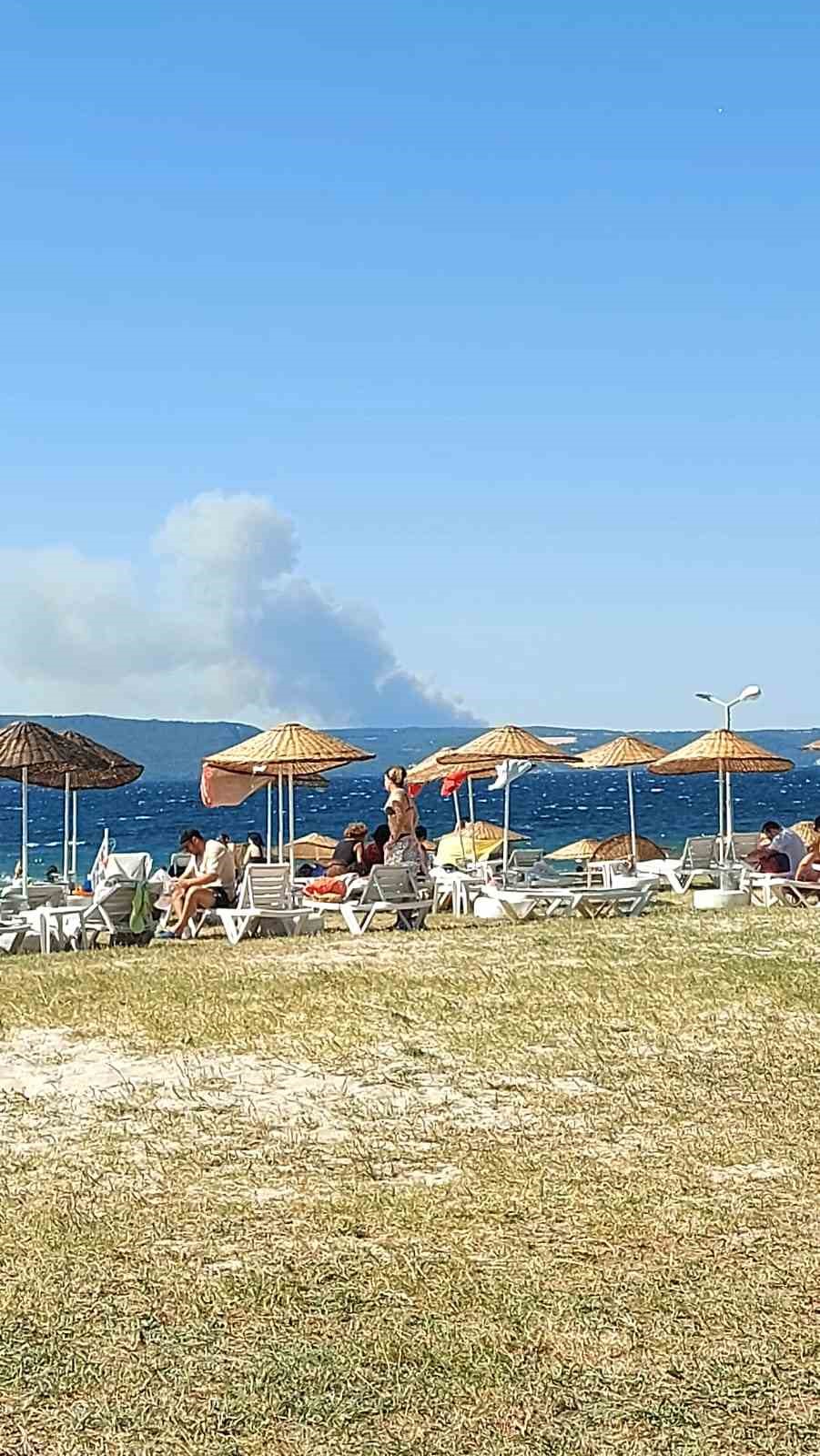 Çanakkale’de orman yangını, gemi trafiği askıya alındı
