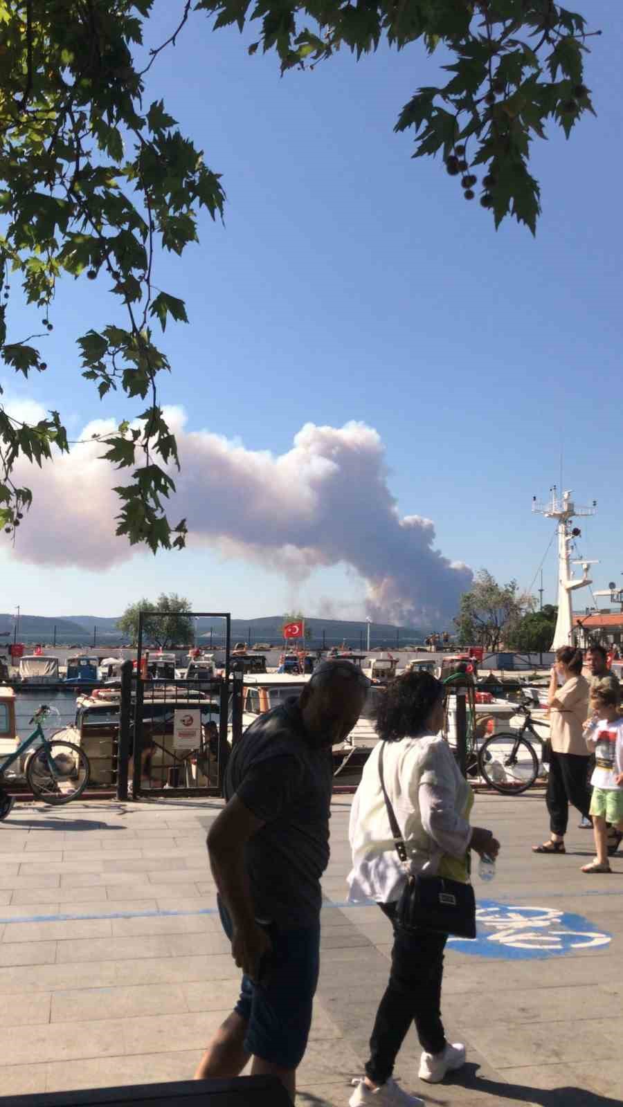 Çanakkale’de orman yangını, gemi trafiği askıya alındı
