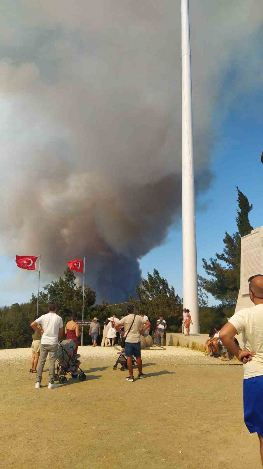 Çanakkale’de orman yangını, gemi trafiği askıya alındı
