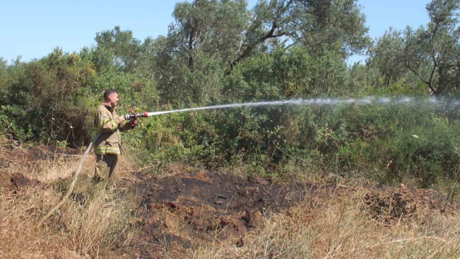 Balıkesir’deki yangında yüzlerce zeytin ve meyve ağacı zarar gördü
