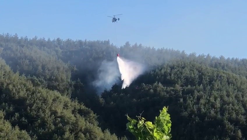 Sakarya’da ormanlık alanda çıkan yangına havadan ve karadan müdahale
