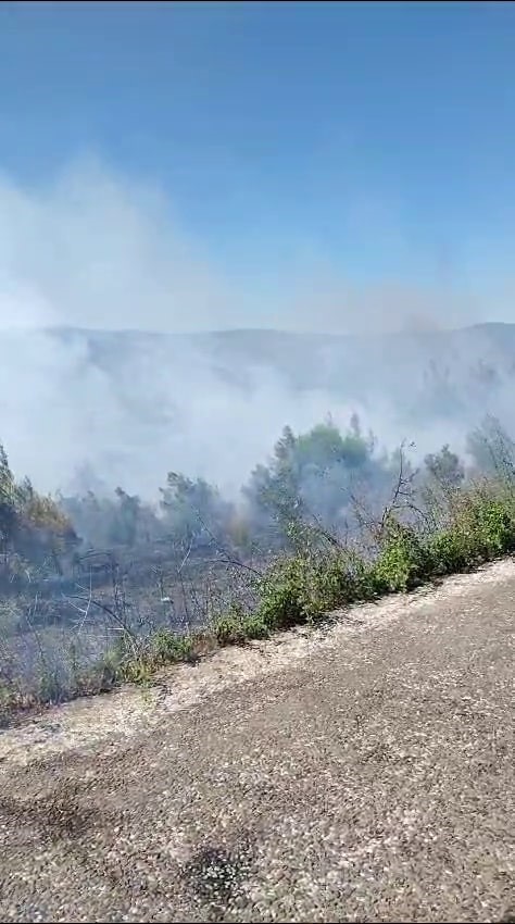 Sakarya’da ormanlık alanda çıkan yangına havadan ve karadan müdahale
