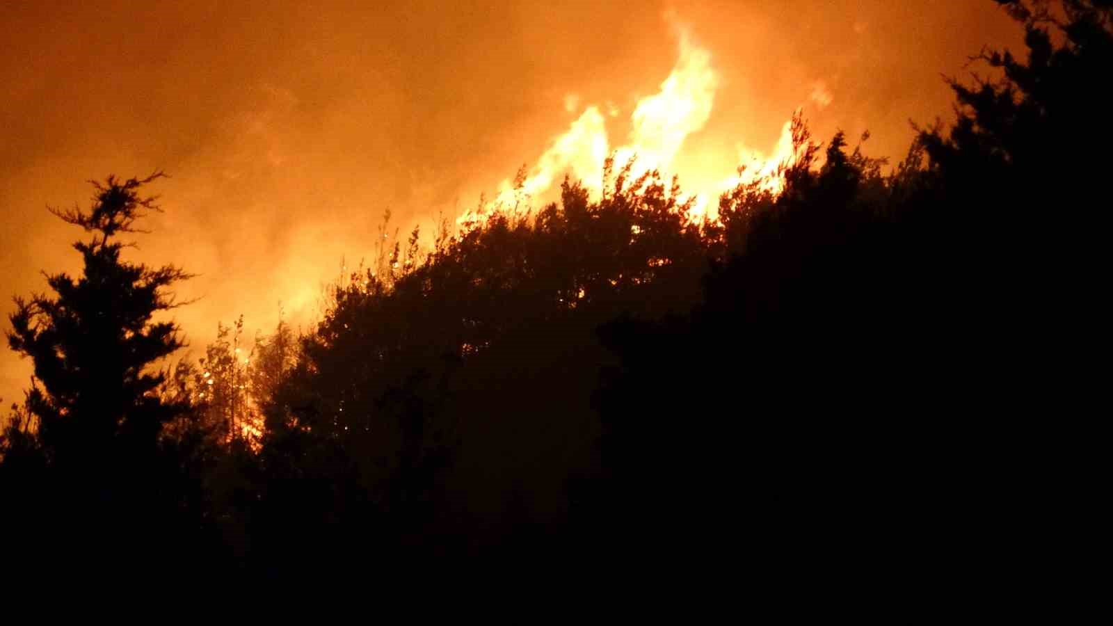 Çanakkale’de orman yangını devam ediyor
