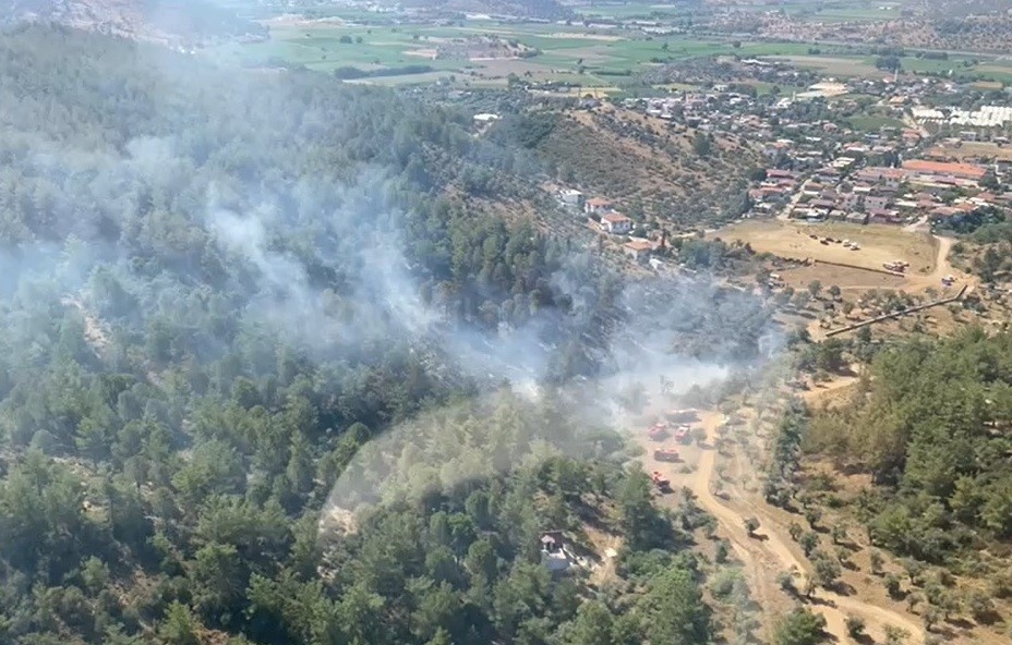 Milas’taki yangın büyümeden söndürüldü
