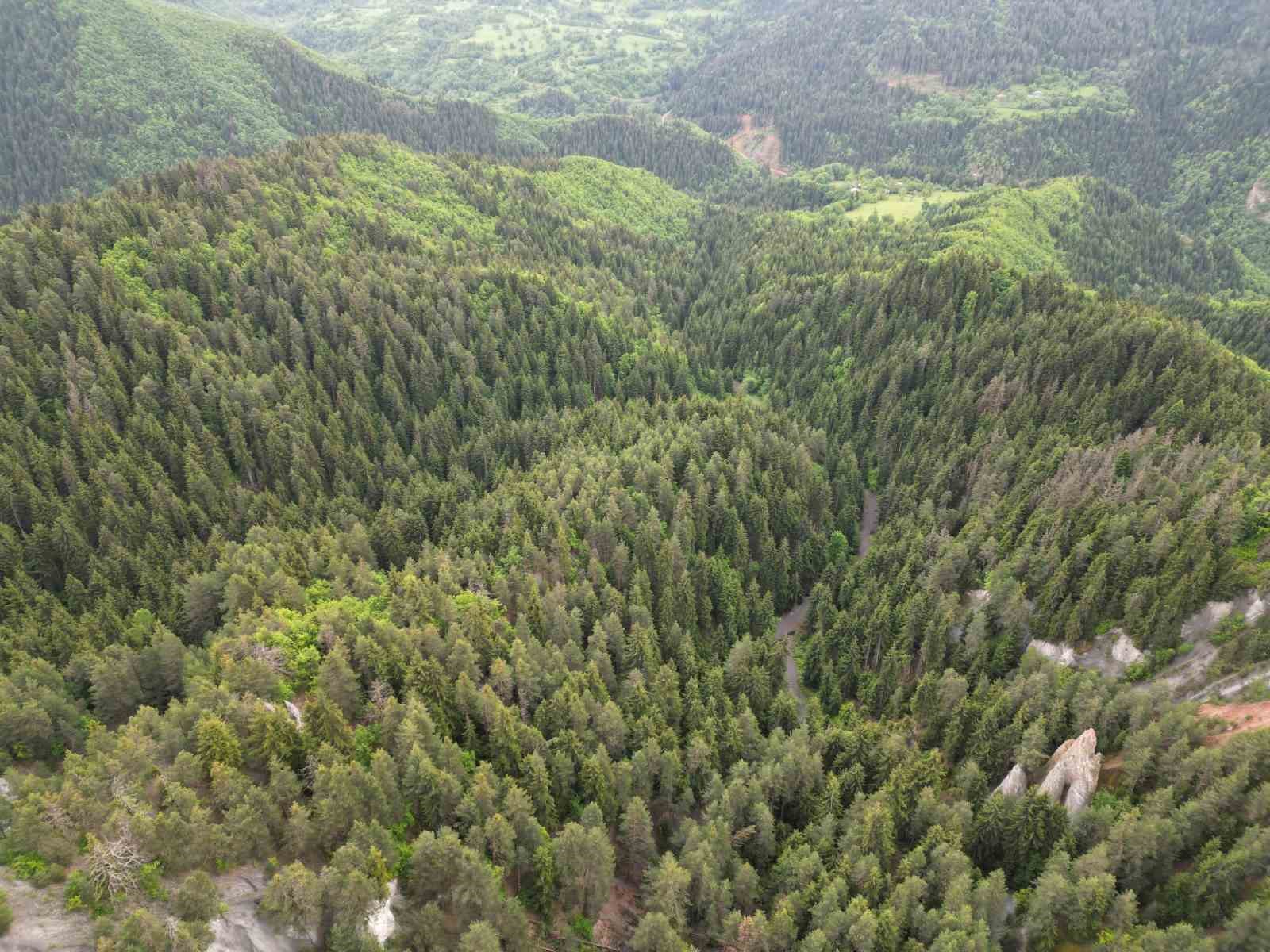 ‘Sakin Şehir’ Şavşat’ın gizli hazinesi: Şavşat Peribacaları
