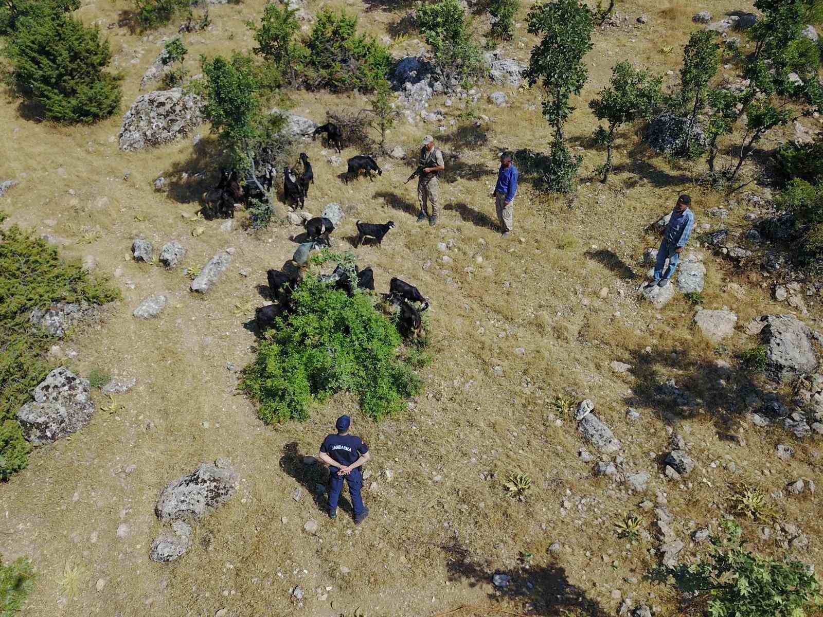 Jandarma kaybolan sürüyü dron ile buldu
