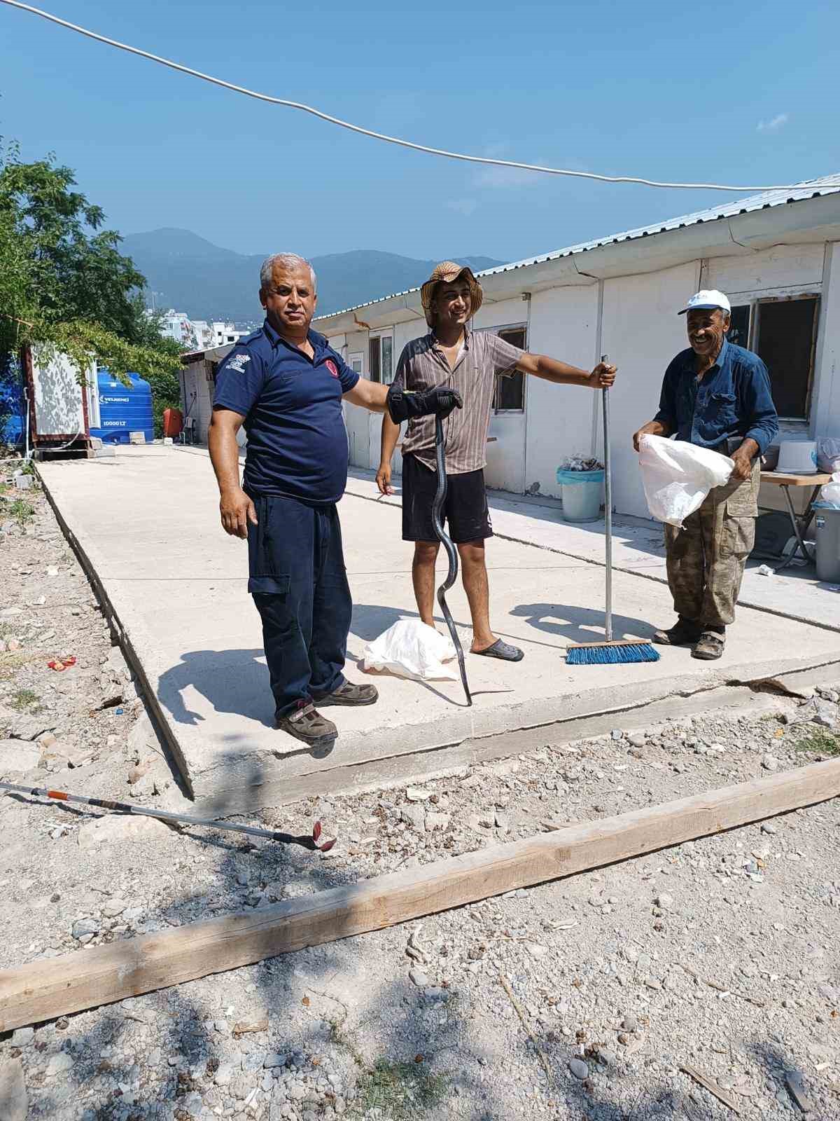 Konteynere giren yılanı itfaiye yakaladı
