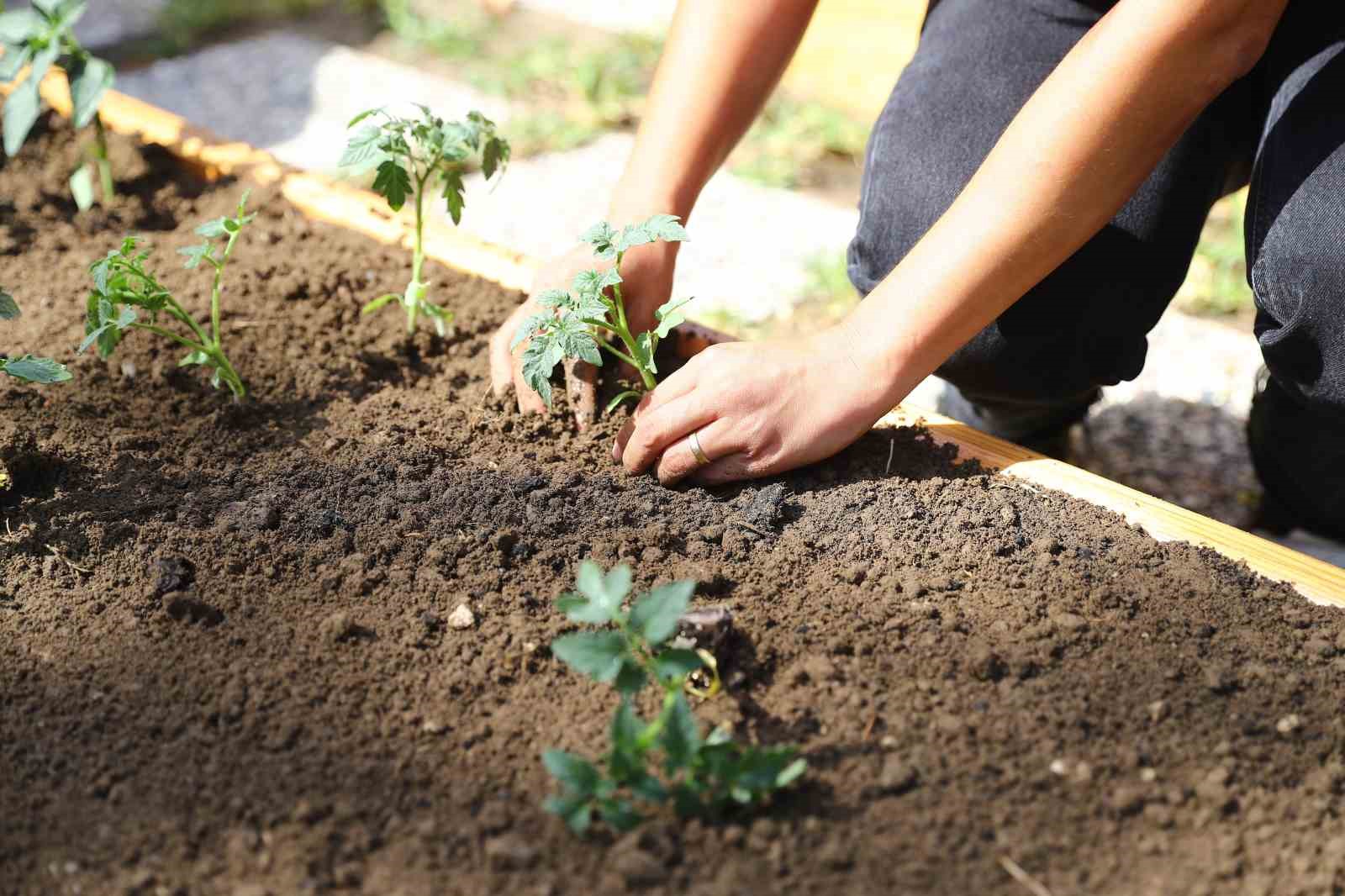 Antalya’ya şehir bostanlıkları kuruluyor
