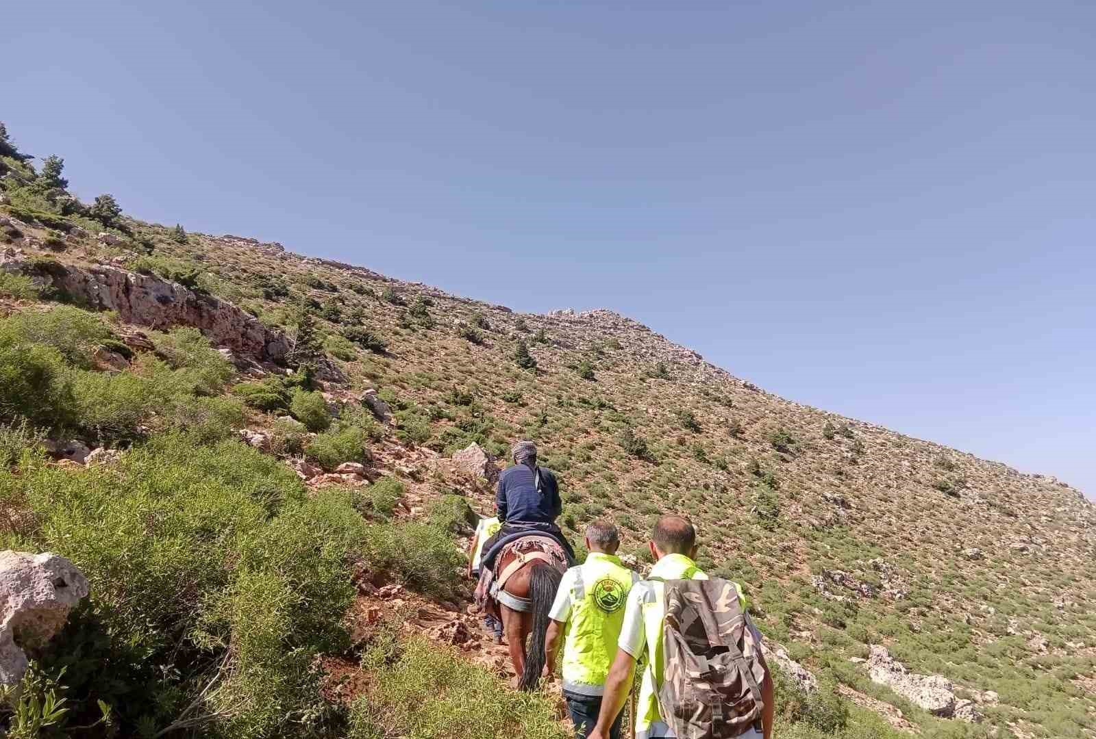 Siirt’te dağ başında rahatsızlanan çoban at sırtında ambulansa ulaştırıldı
