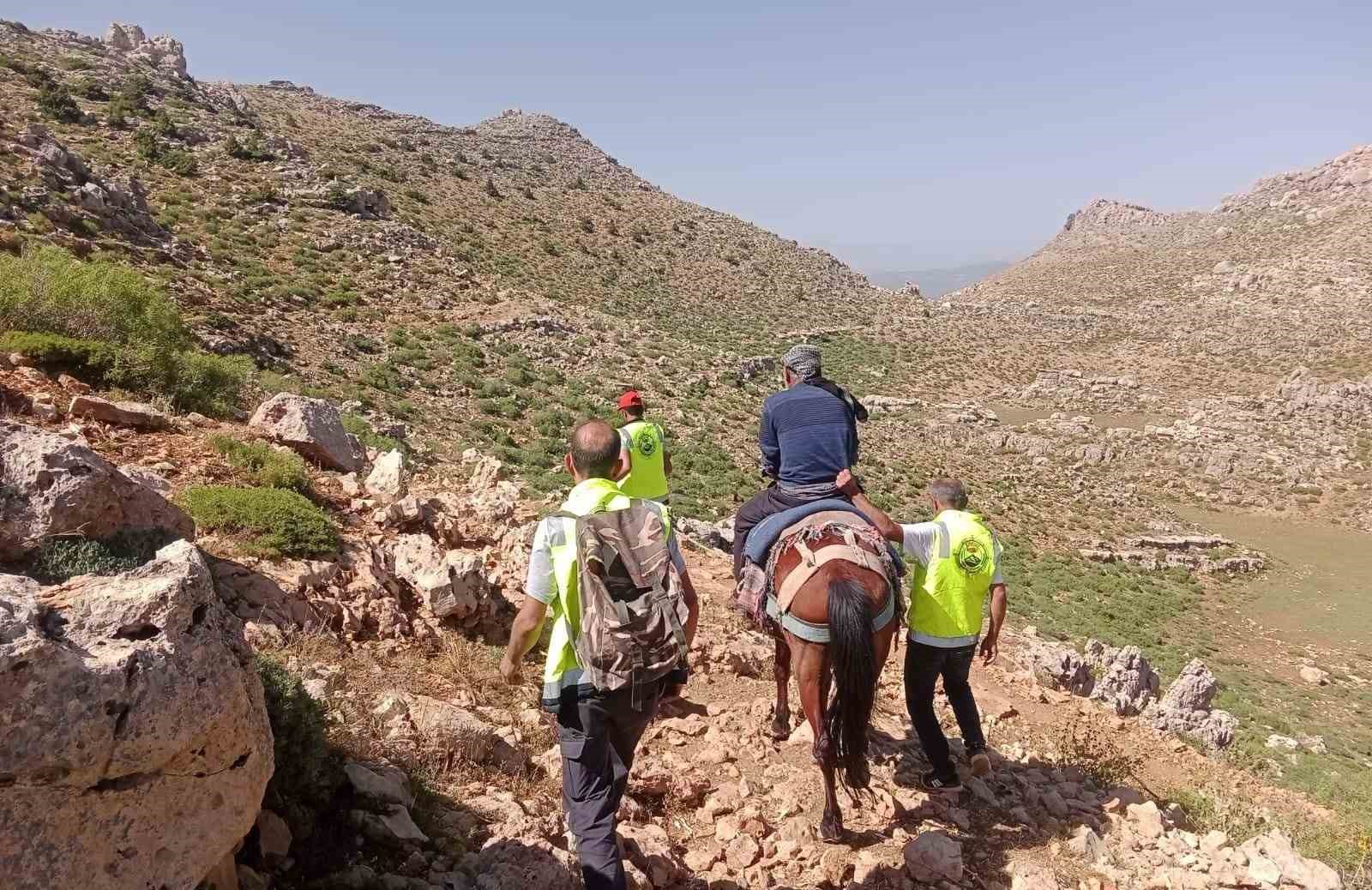 Siirt’te dağ başında rahatsızlanan çoban at sırtında ambulansa ulaştırıldı
